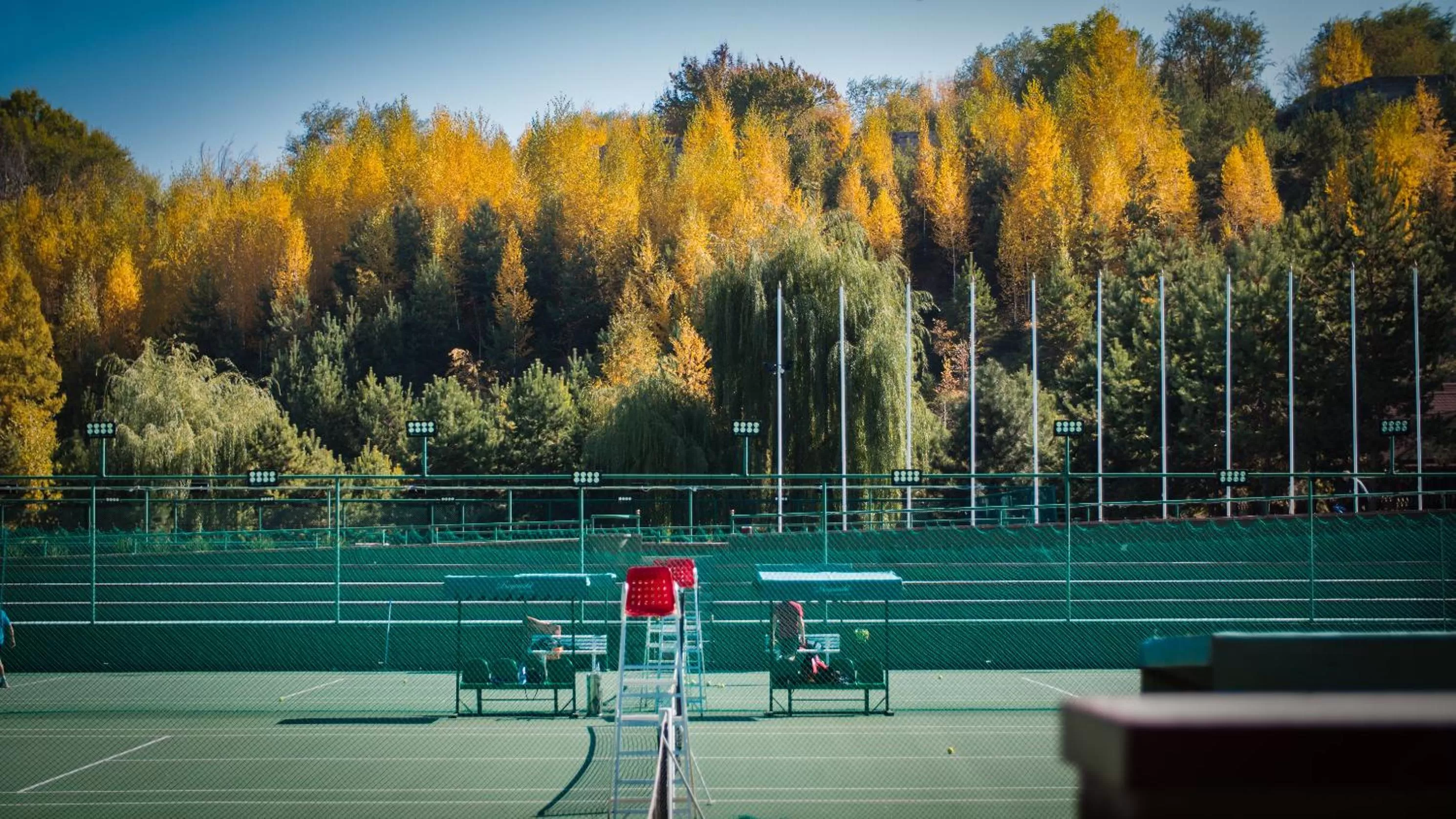 Activities in Alpen Ville