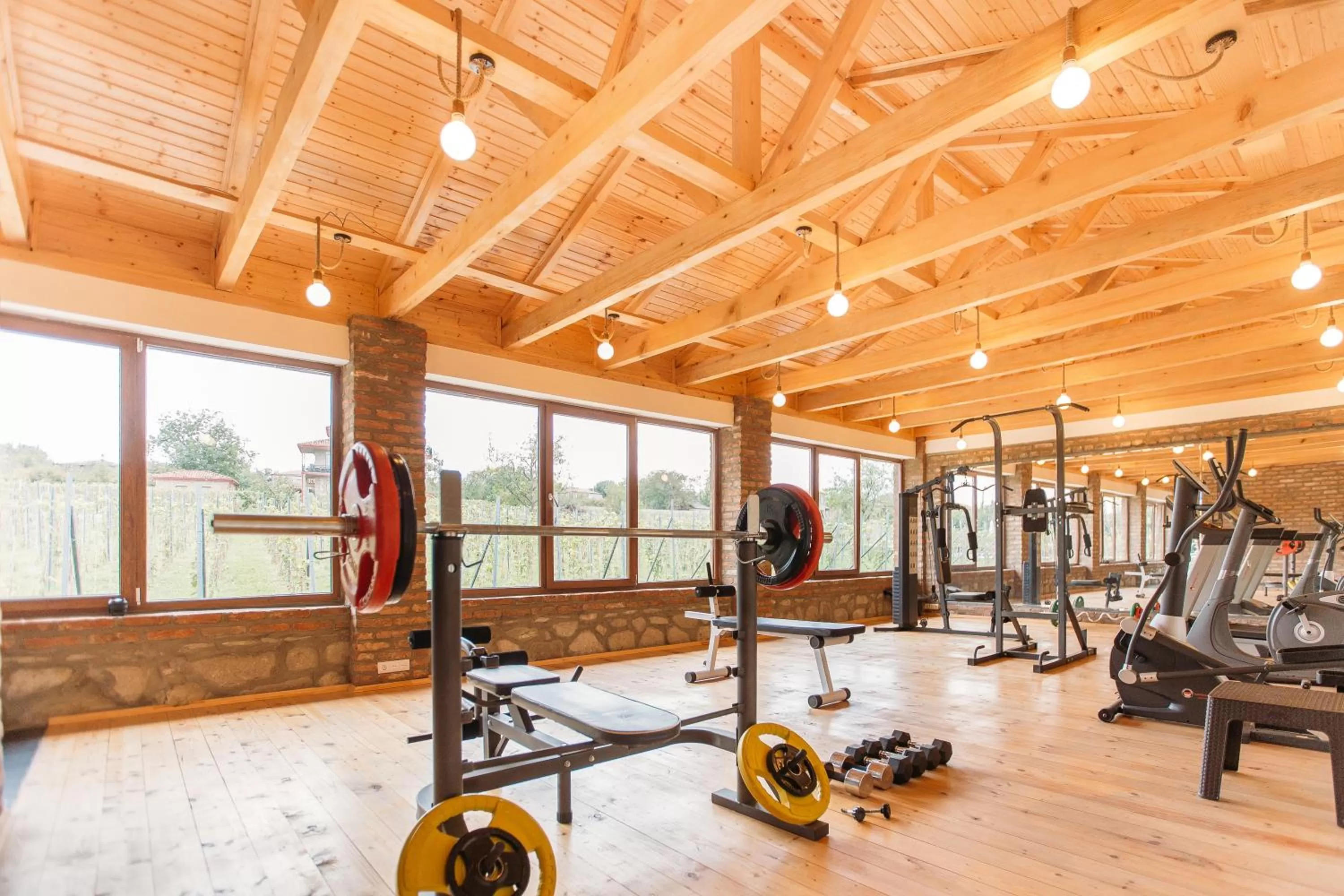 Fitness centre/facilities in Schuchmann Wines Château,Villas & SPA