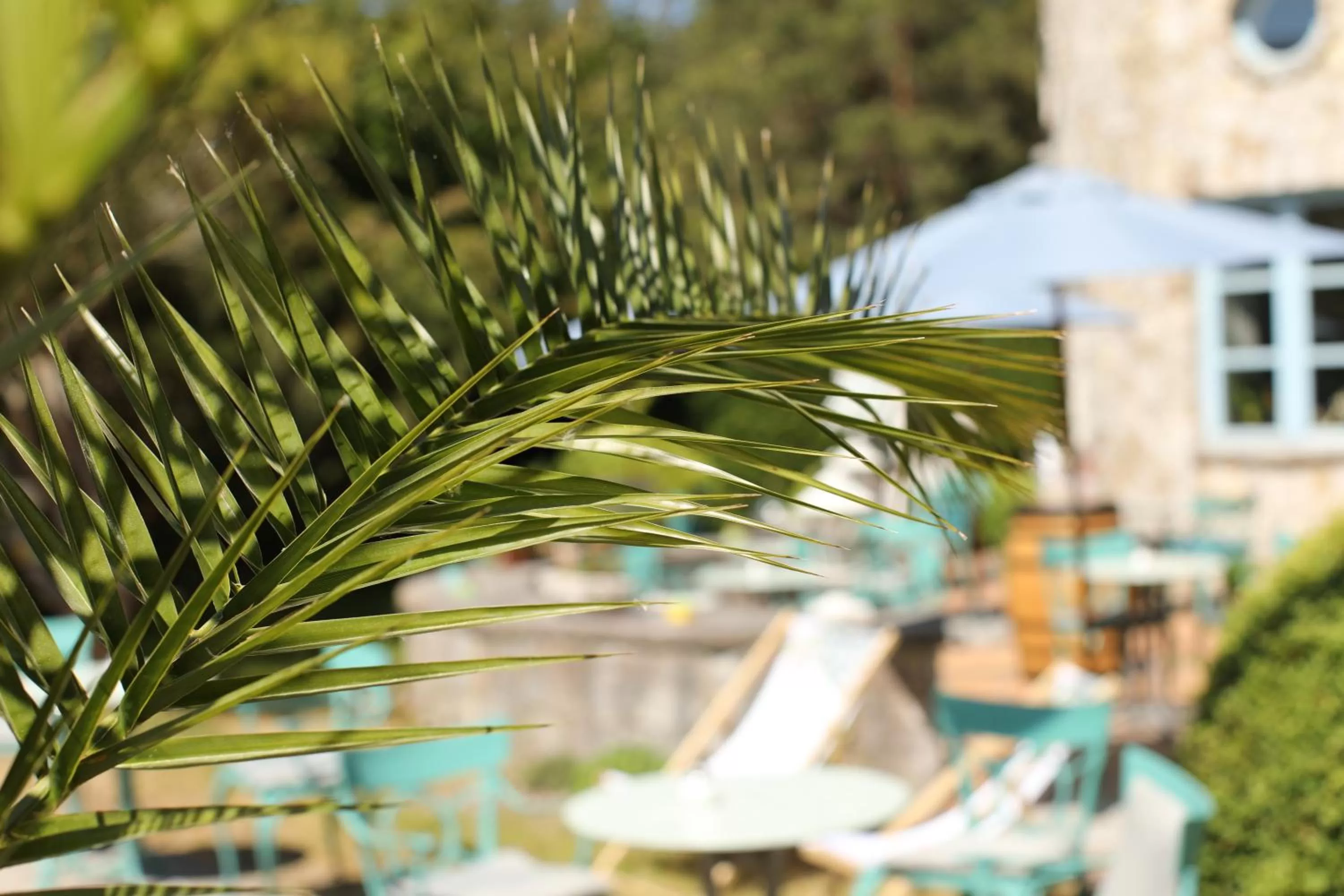 Garden in Hotel Bernstein Prerow