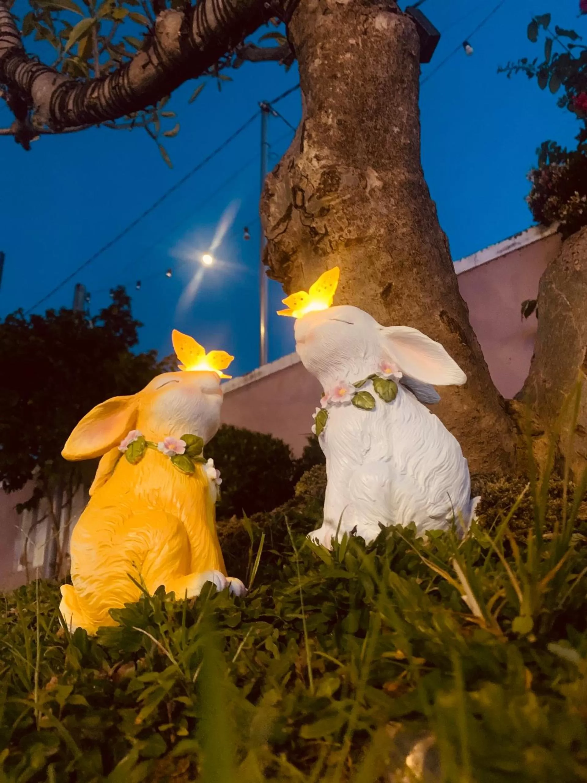 D'Villa Hotel - Homestay