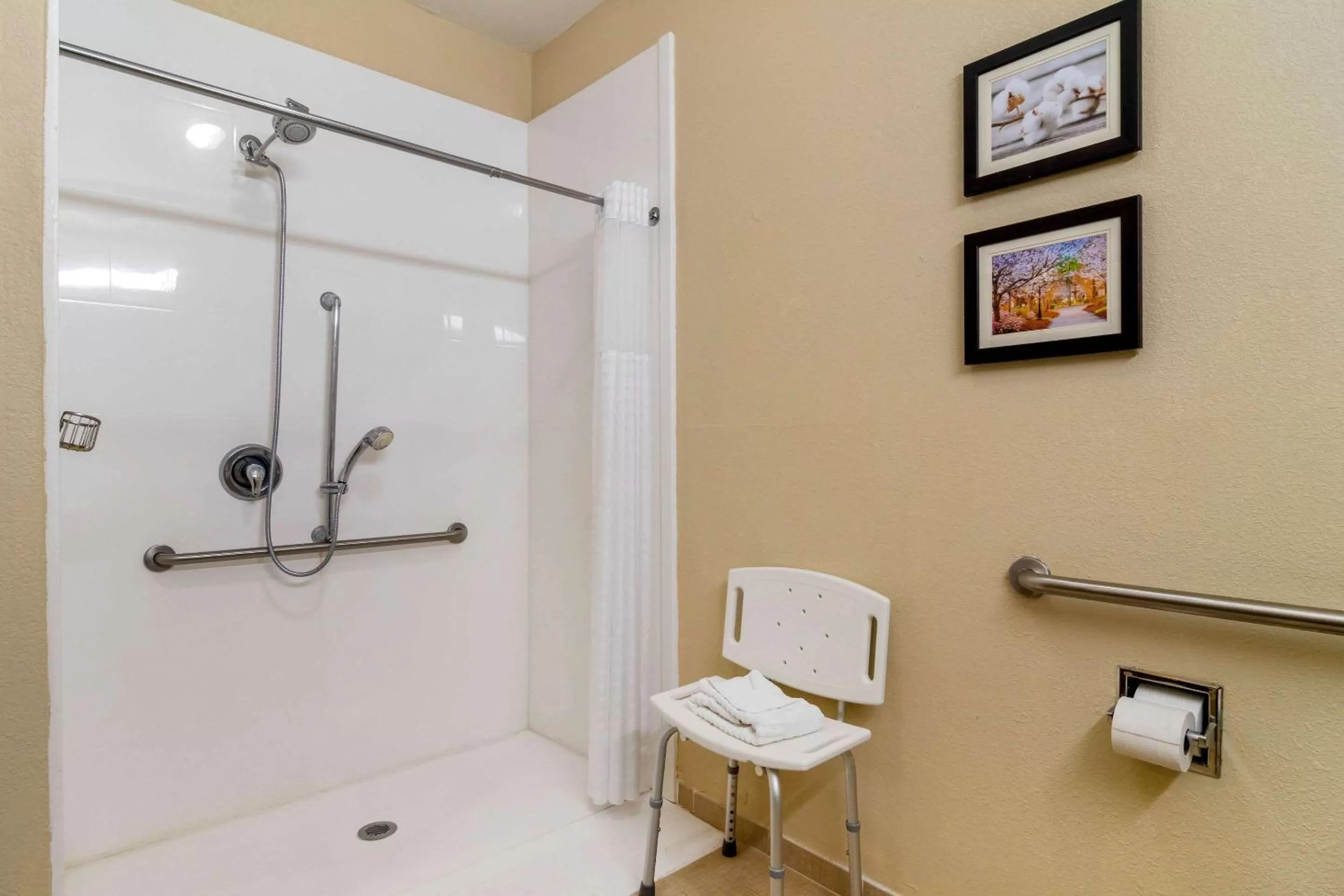 Bathroom in Comfort Inn & Suites Griffin North