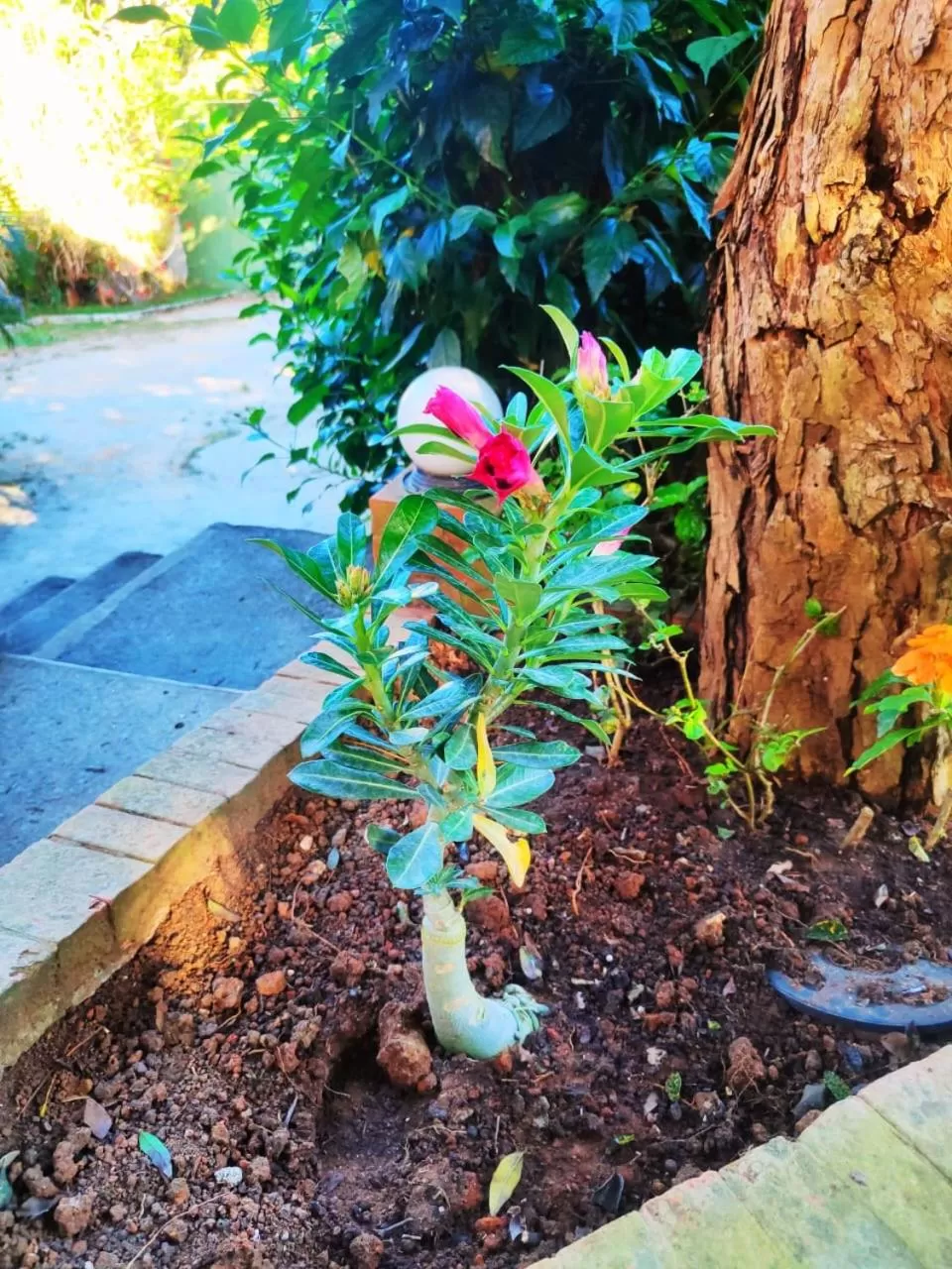 Property building in BemTeVi Em Búzios