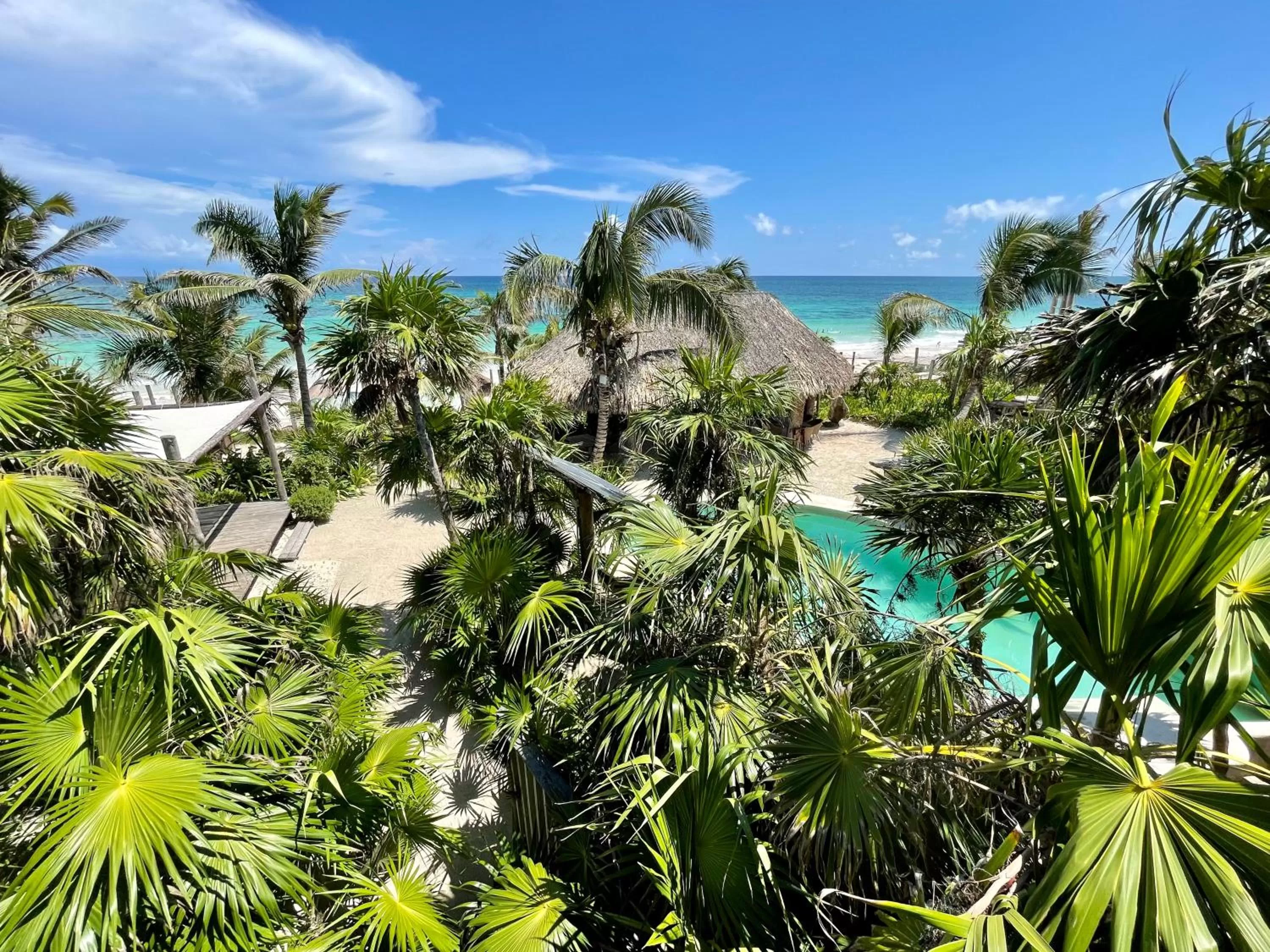 View (from property/room) in Sueños Tulum