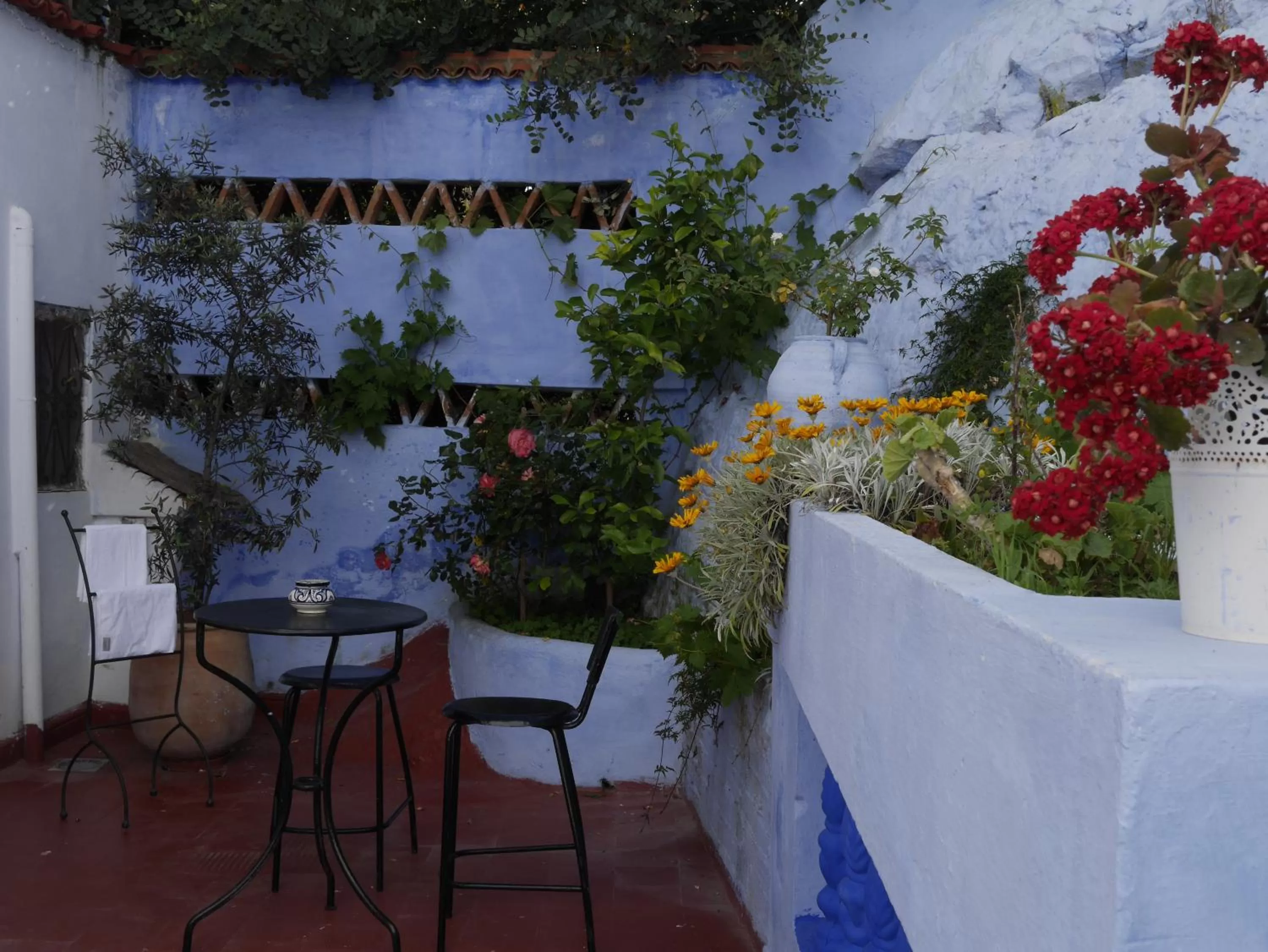 Garden view in Dar Dalia