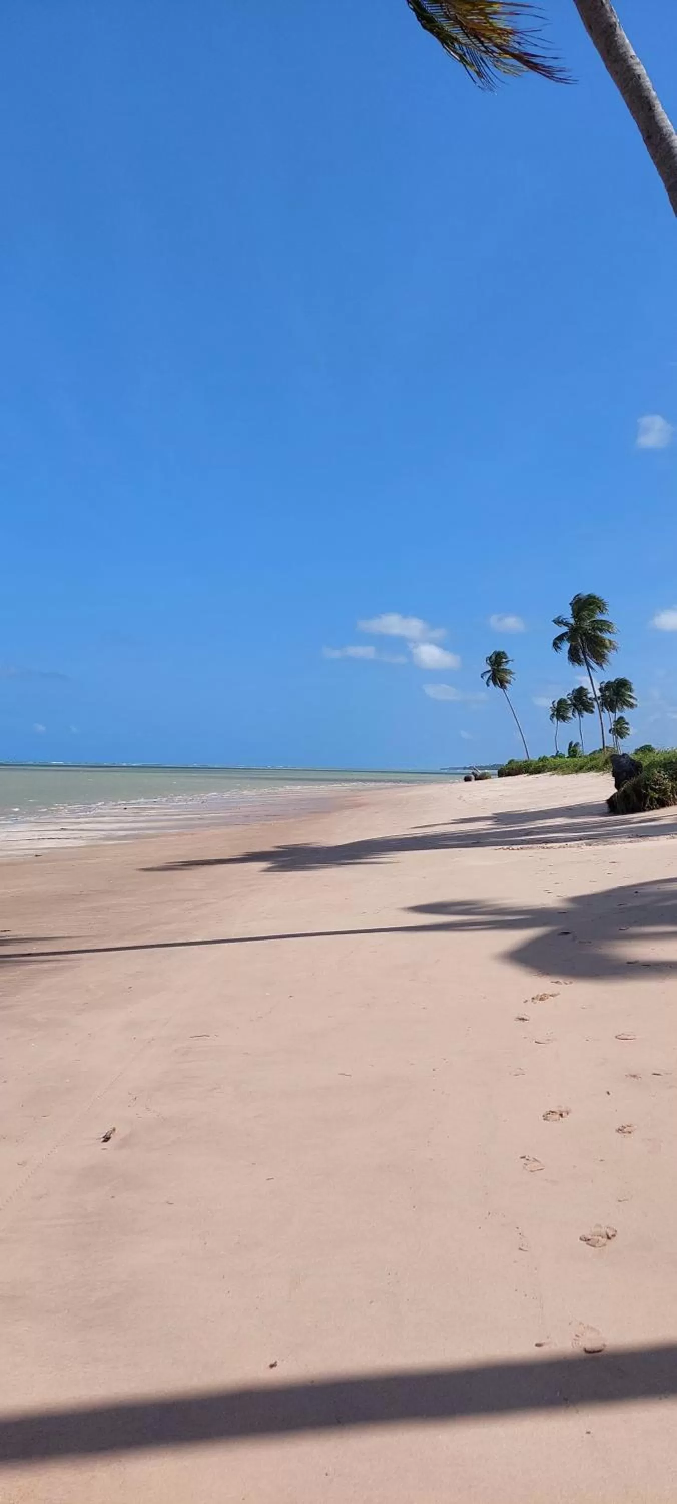 Natural landscape in Arataba Hotel Boutique e Bistrô - 150 mts do mar