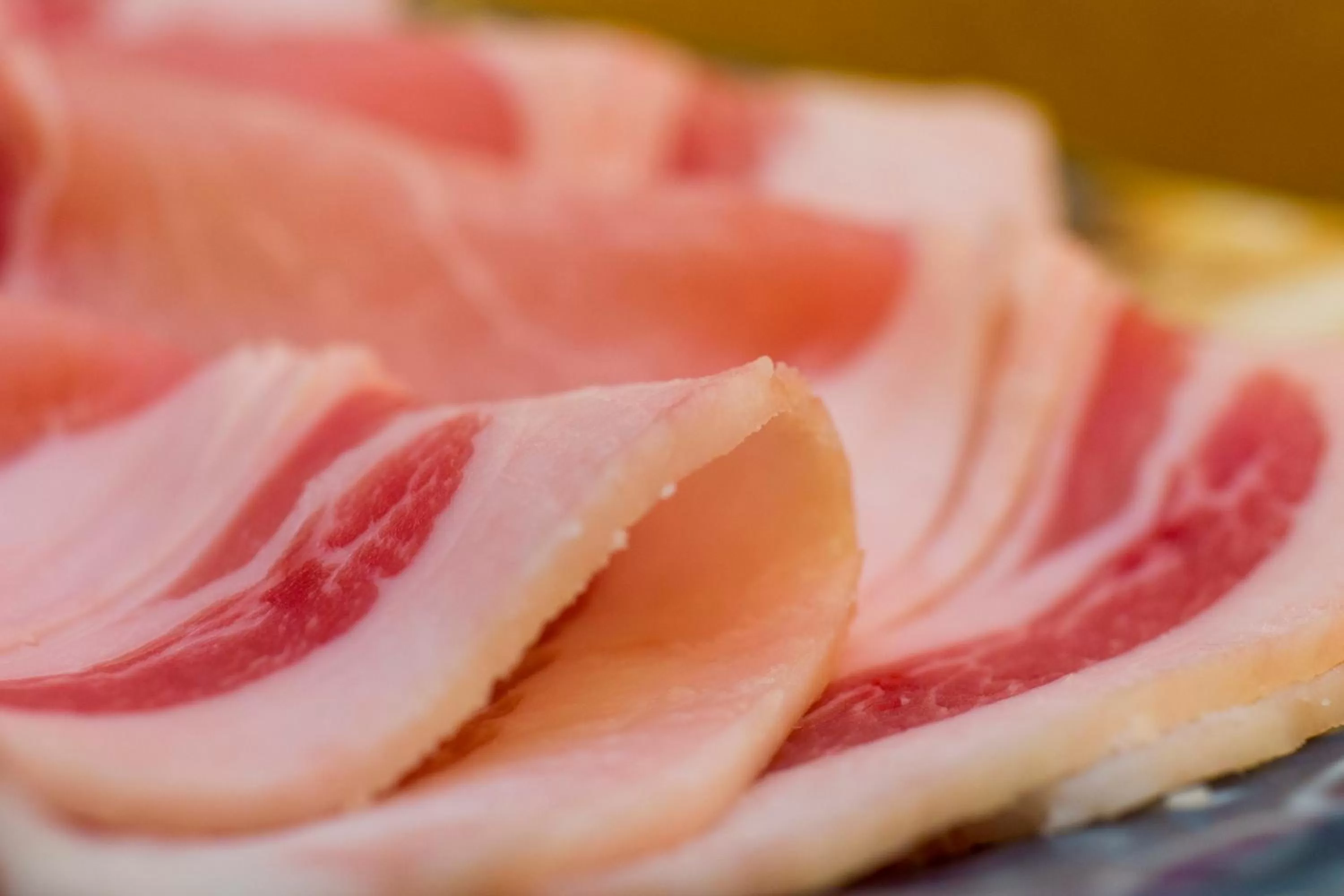 Food close-up in Ibusuki Kaijo Hotel
