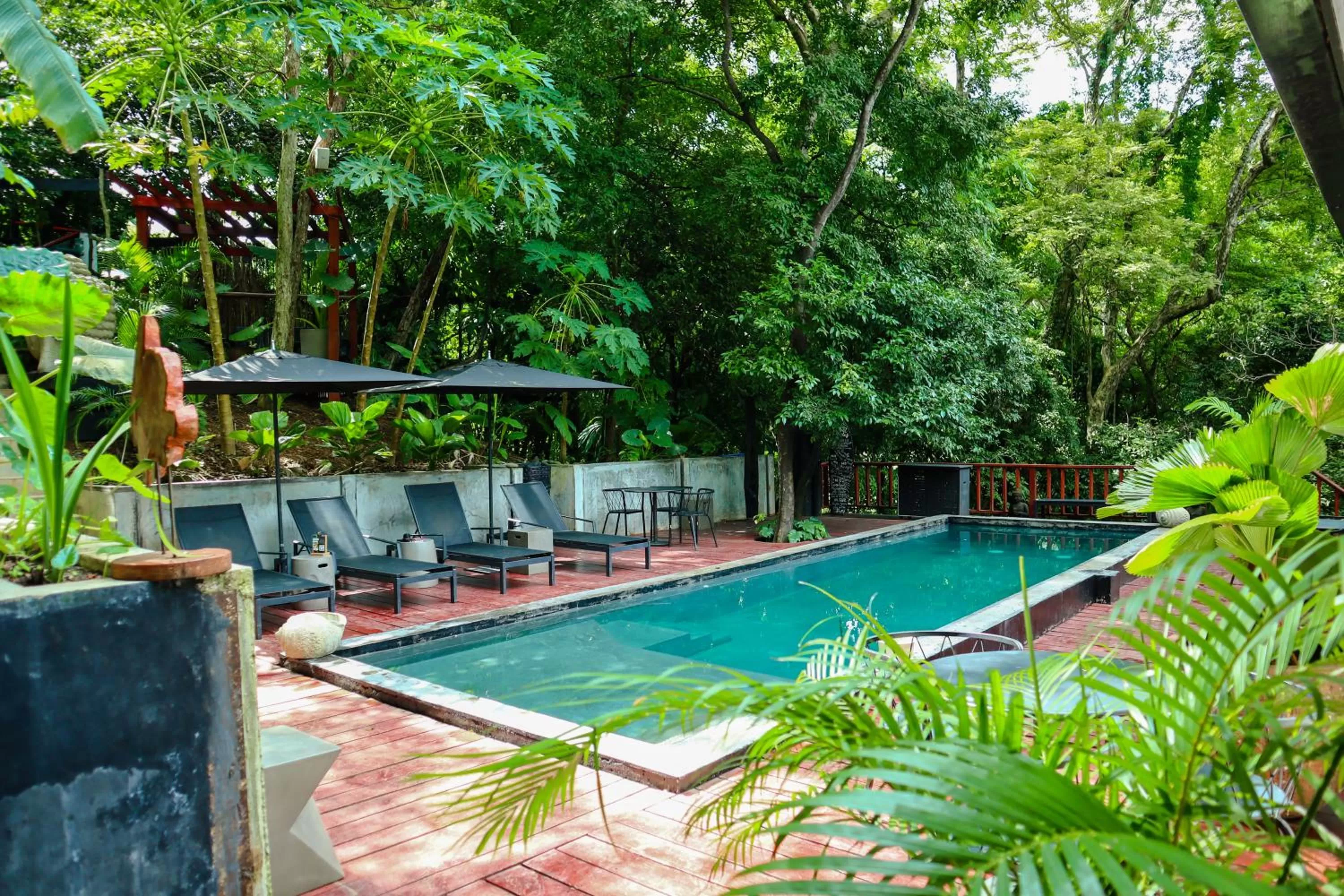 Swimming pool in Saboga Lodge