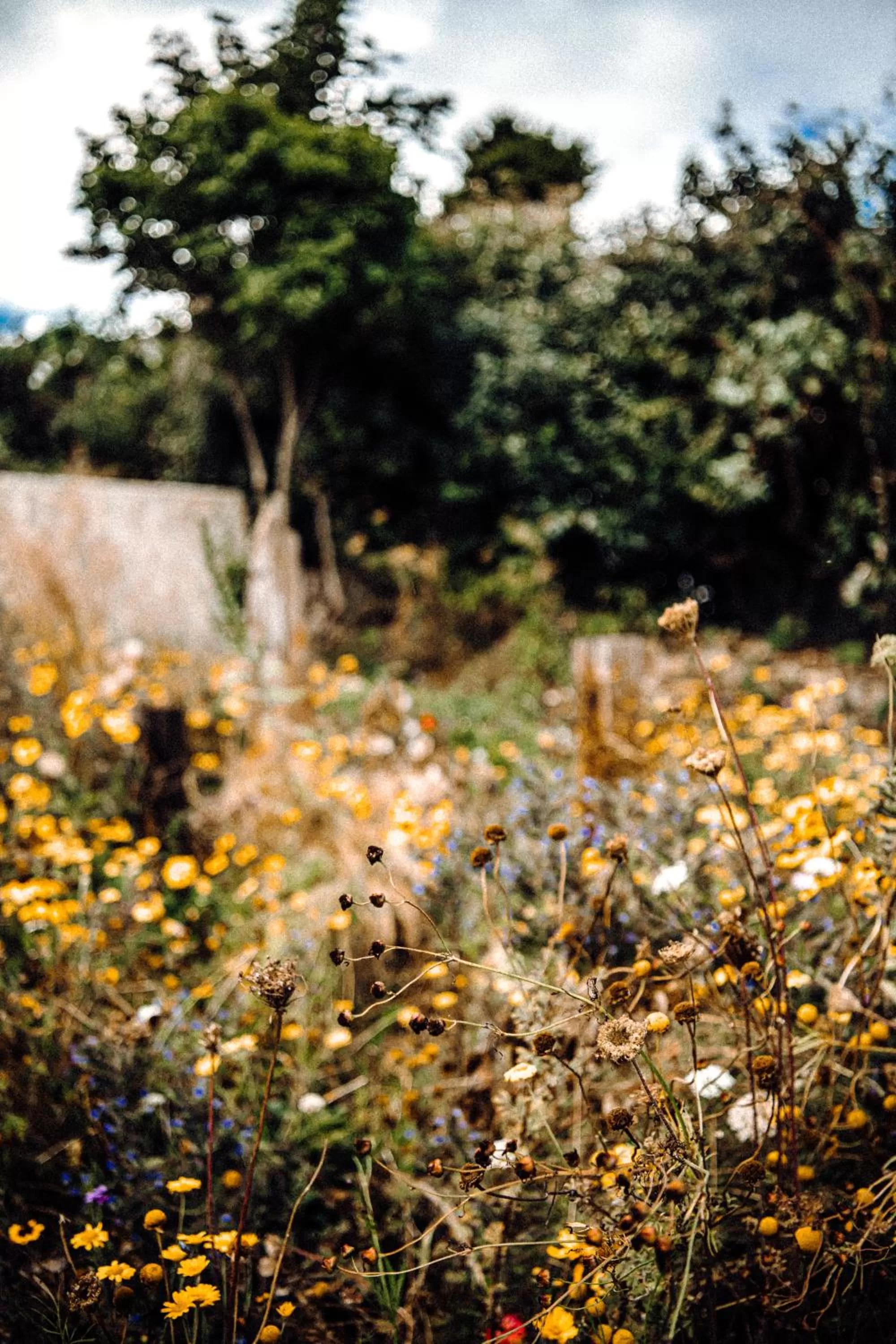 The Residence at Bolenna