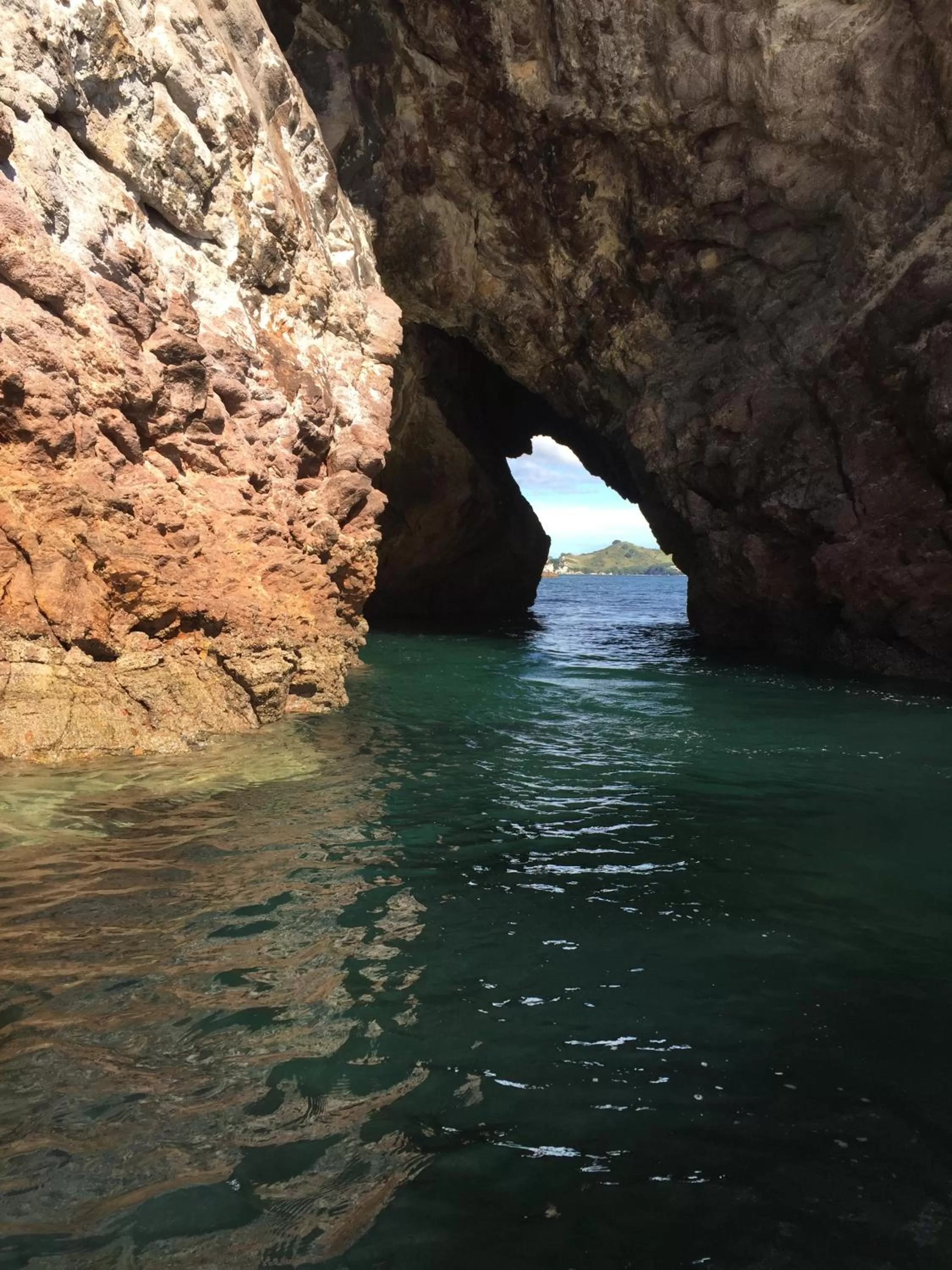 Natural landscape in The Oceanside Motel