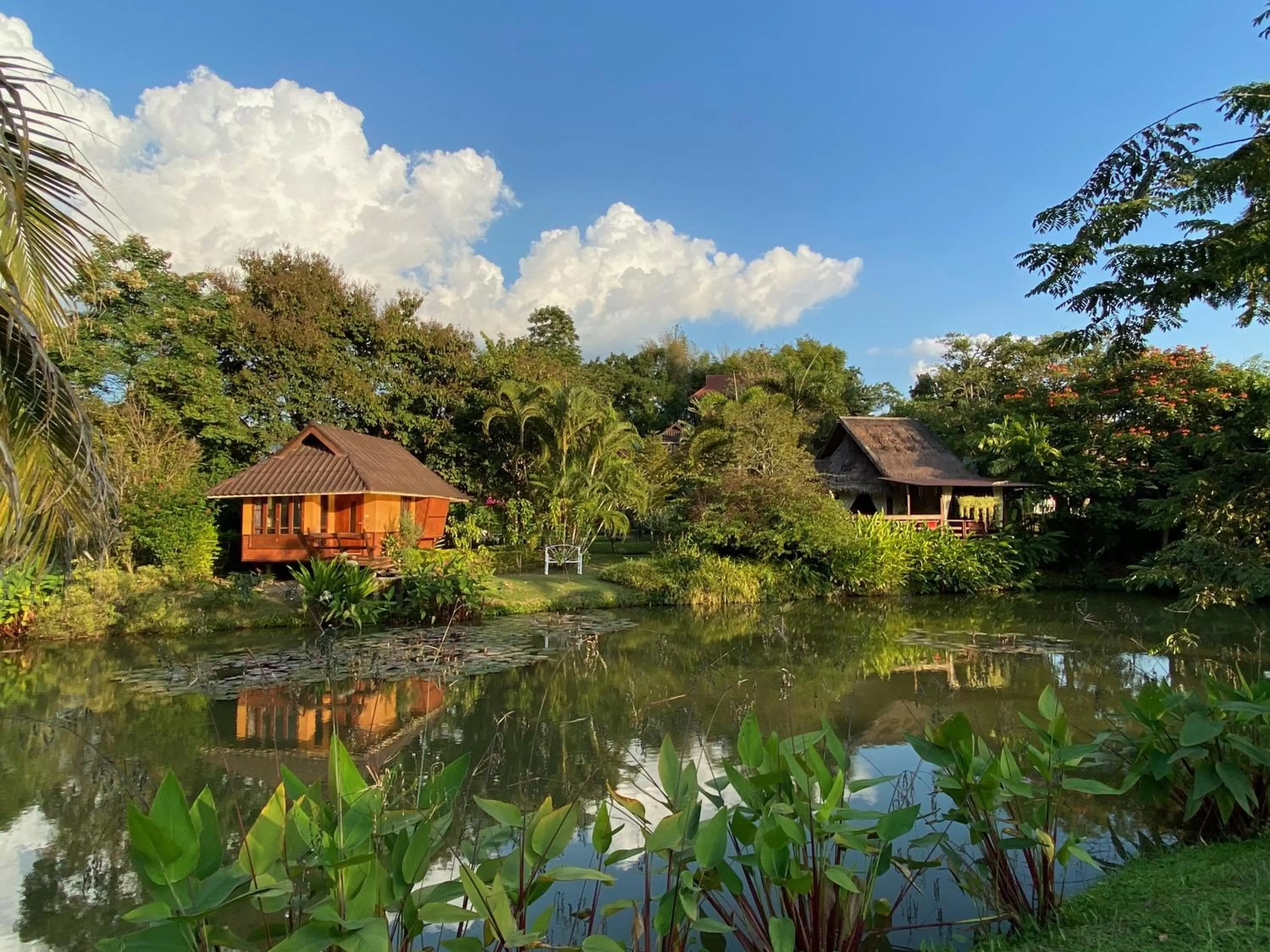 Pura Vida Pai Resort