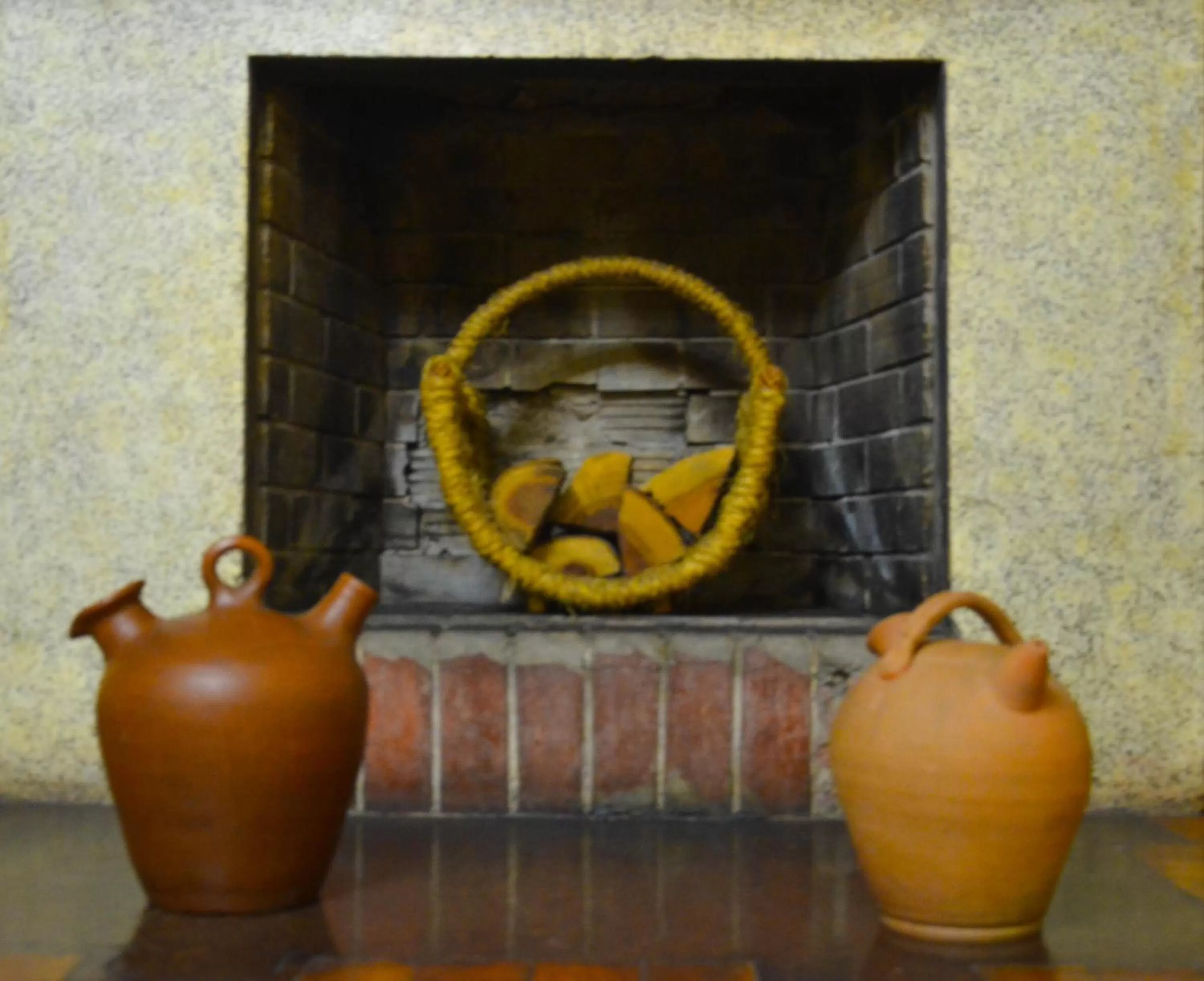 Area and facilities in Hotel Dikran