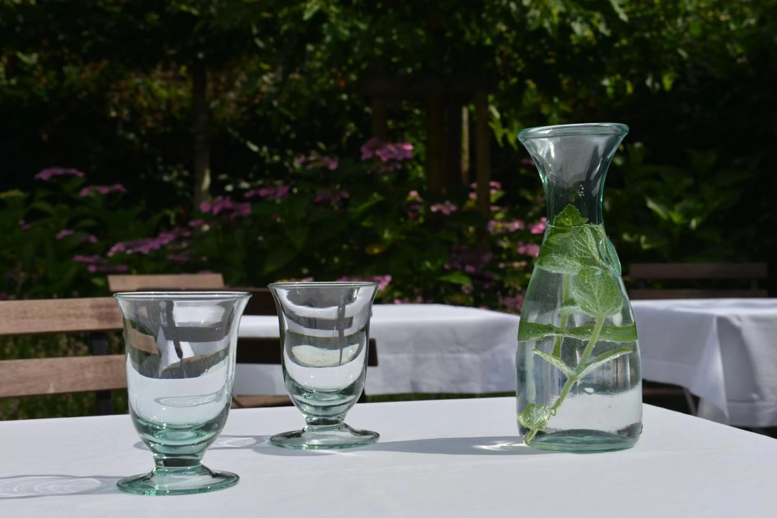 Garden in Boetiekhotel Hemelhuys