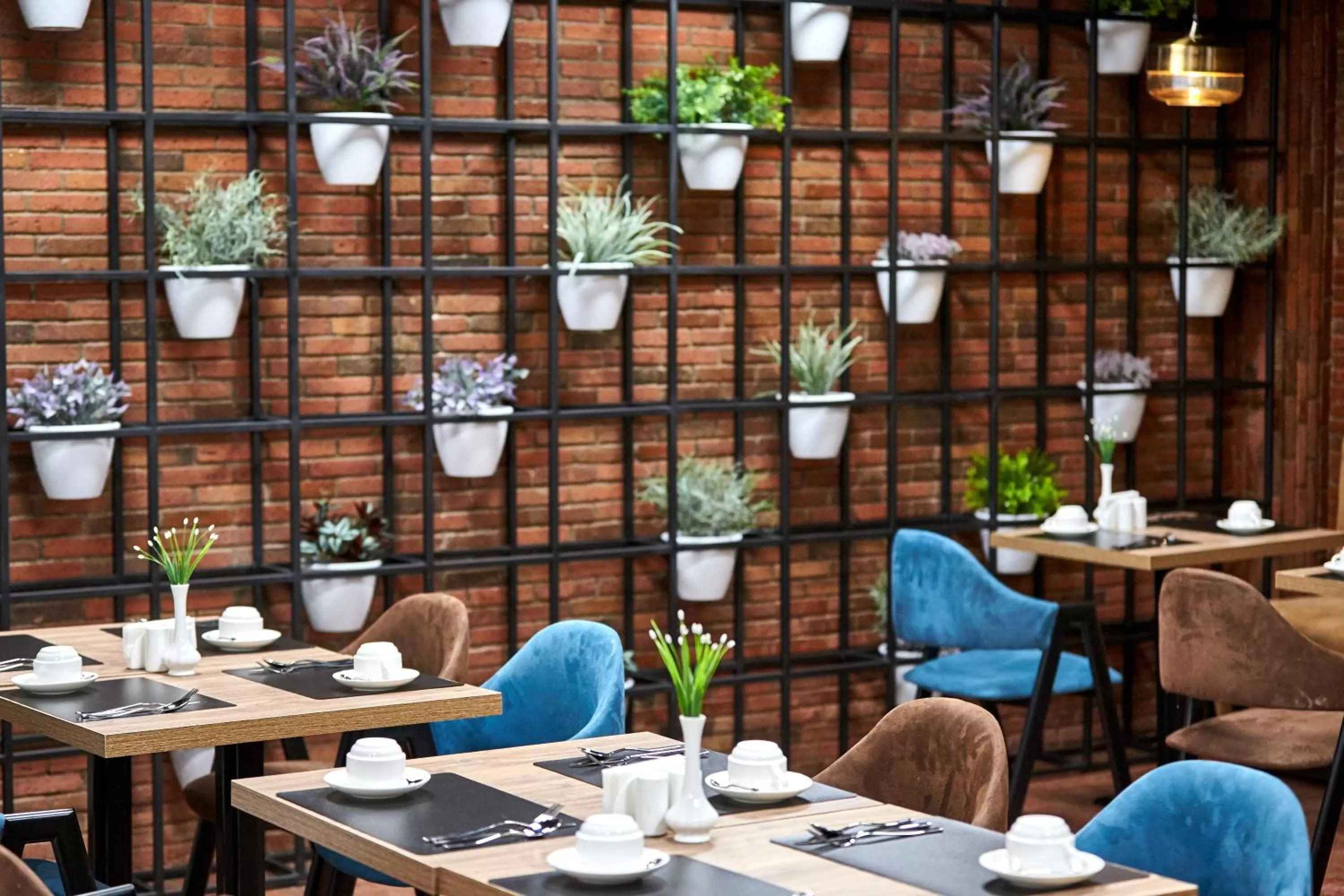 Restaurant/places to eat in Graphica Tbilisi Hotel