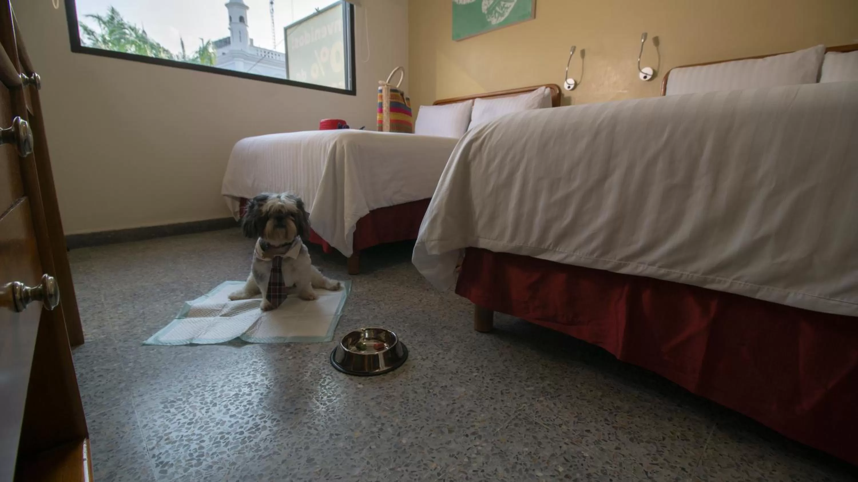 Pets, Bed in Hotel Urban Express