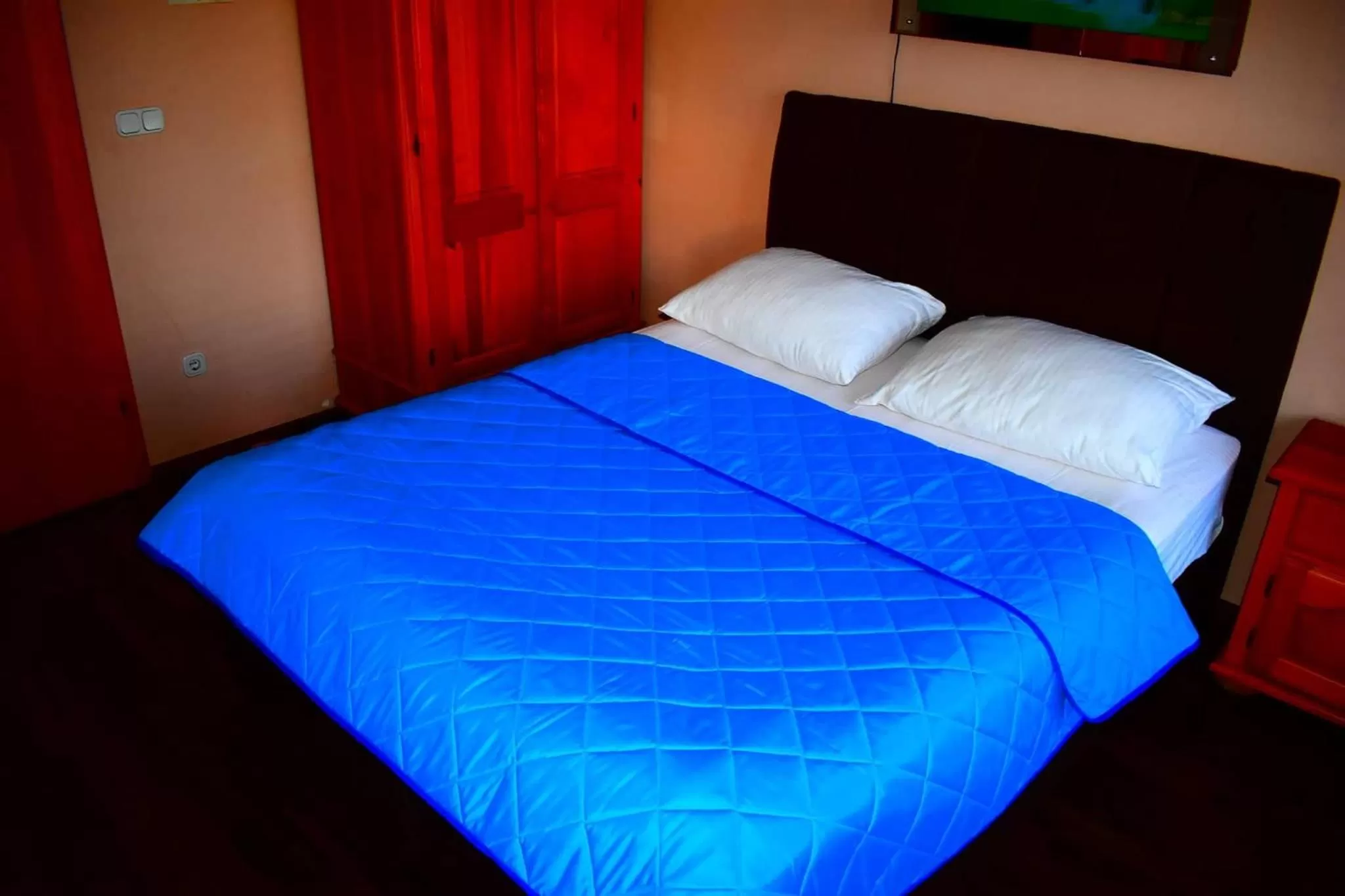 Bedroom, Bed in Prenoćište SAMIR