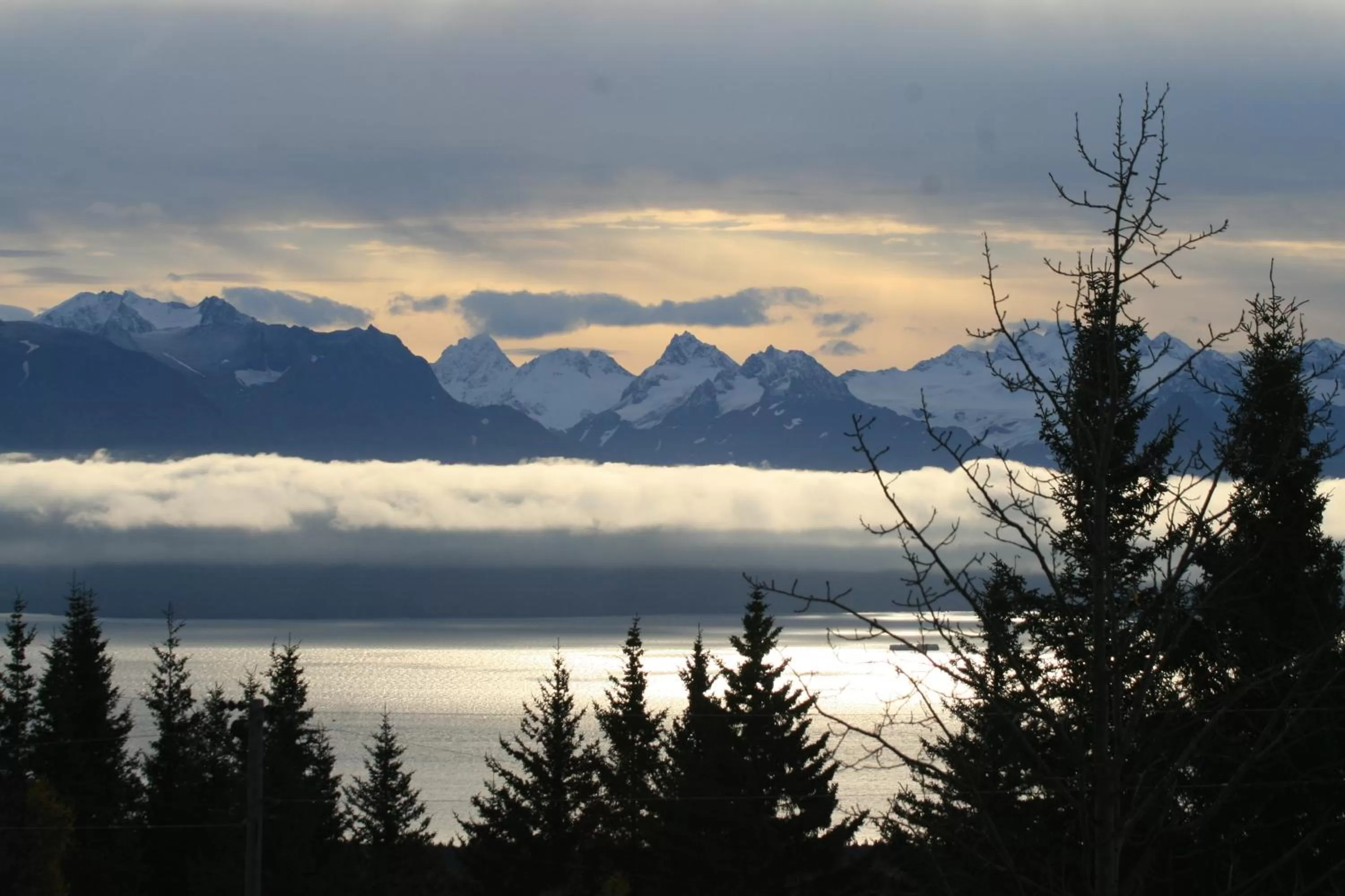 Natural landscape in Halcyon Heights B&B/Inn