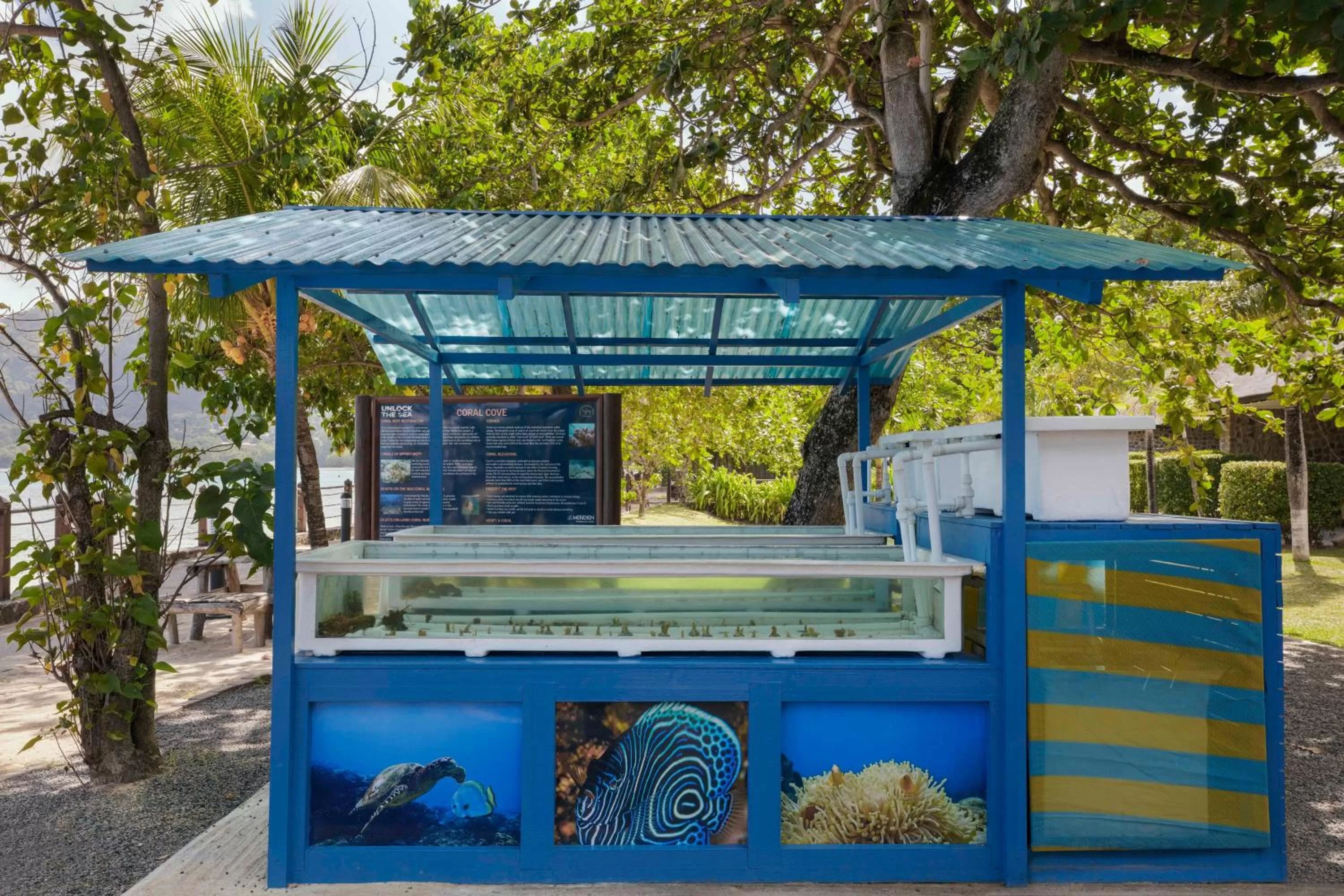 Activities in Fisherman's Cove Resort - closed for complete renovation - Visit our sister property STORY Seychelles for your stay