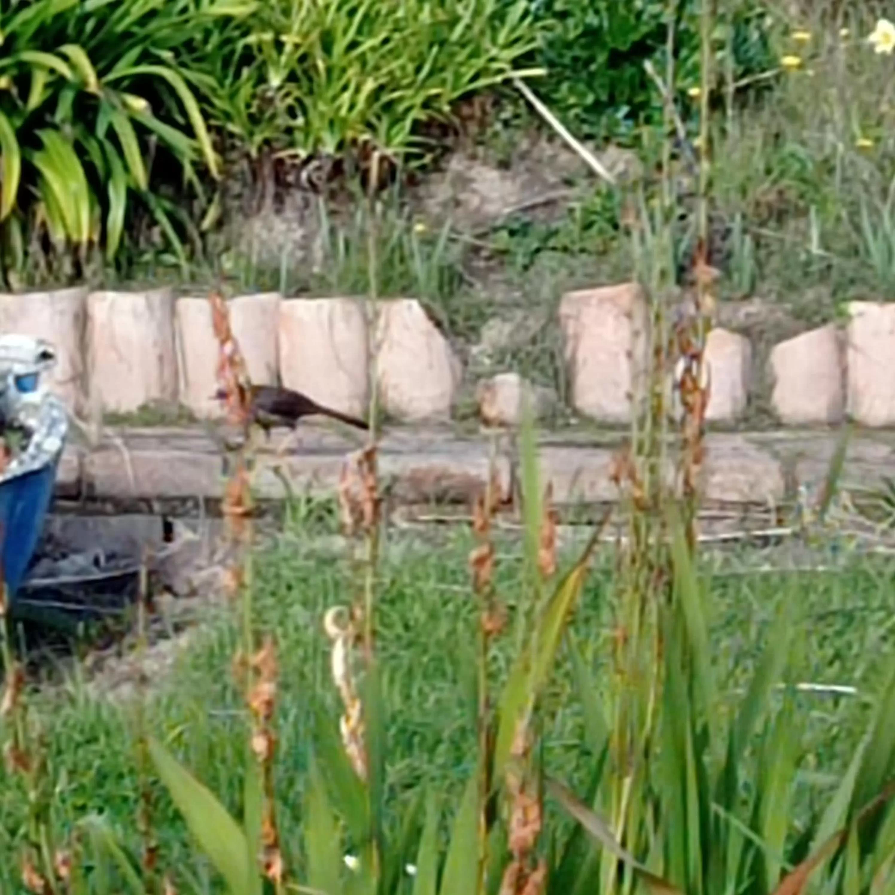 Hotel Refugio Pozo Azul