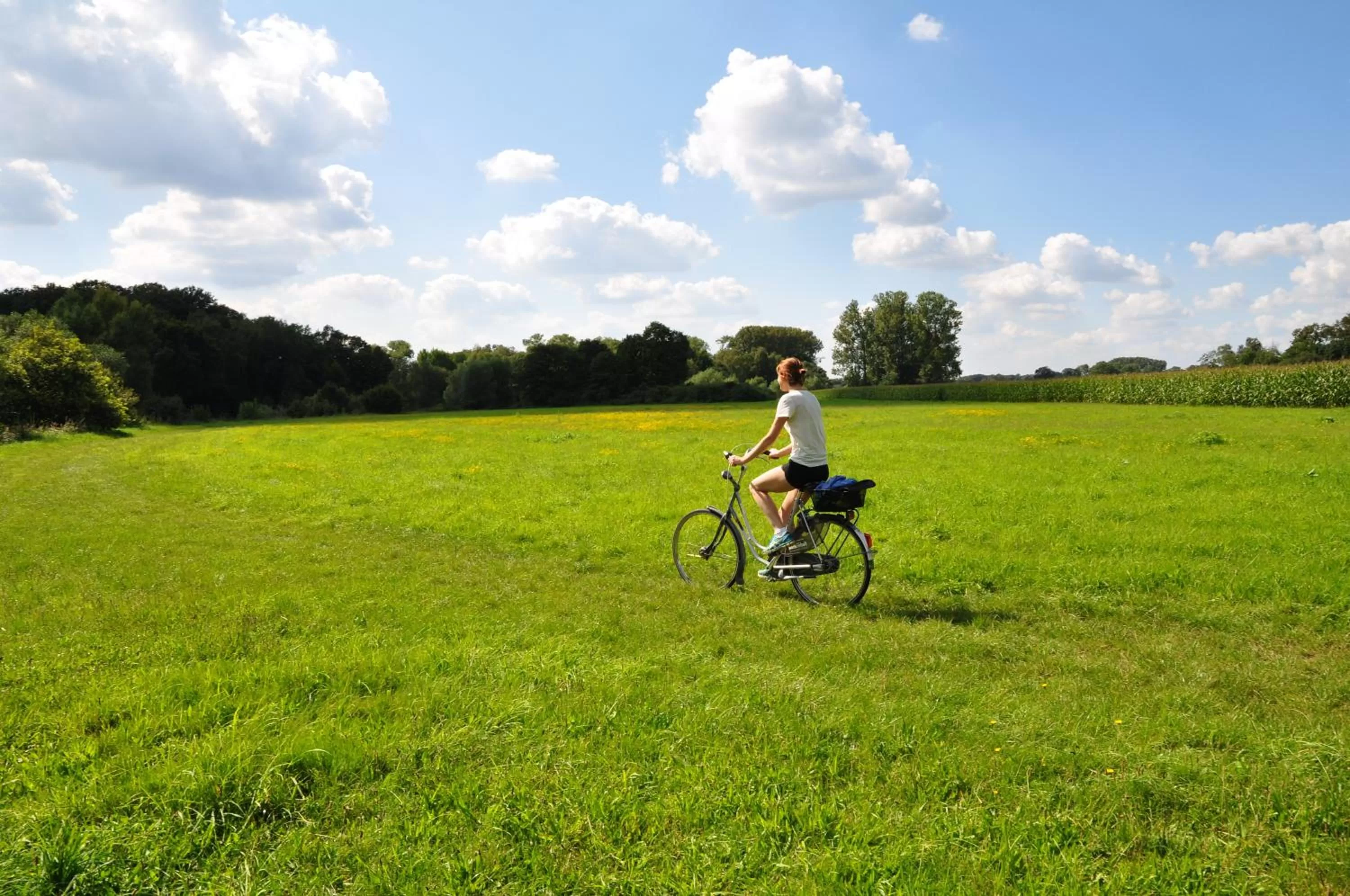 Cycling in Hotel zur Bever