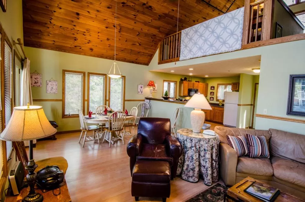 Living room in Asheville Cabins of Willow Winds