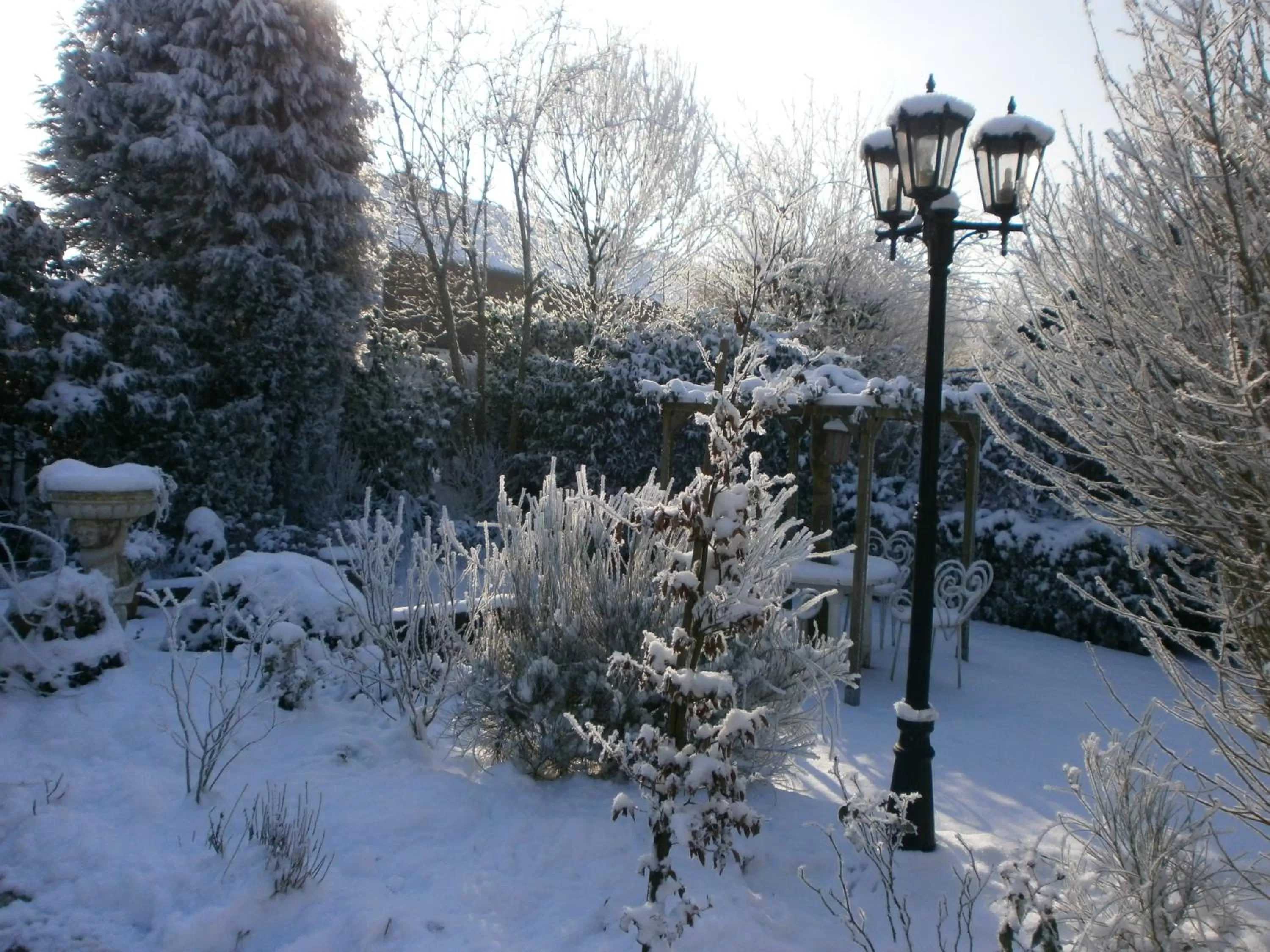 Garden, Winter in Bed and Breakfast Azzurro