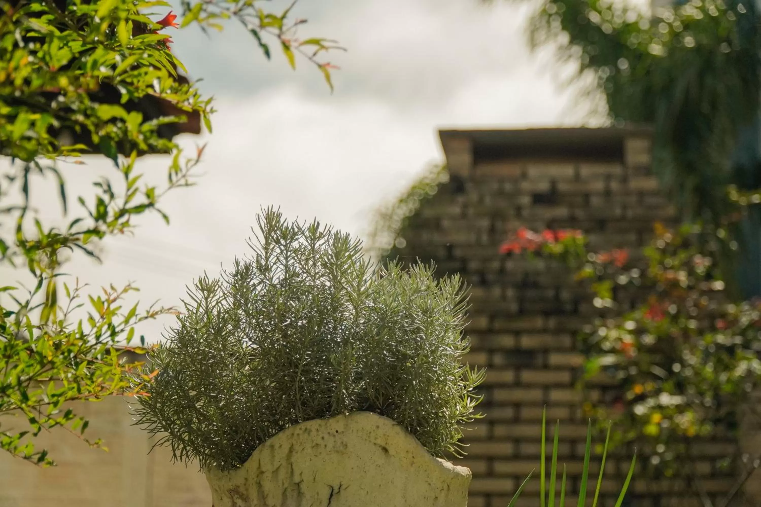 Garden, Property Building in Pousada Dunasol Floripa