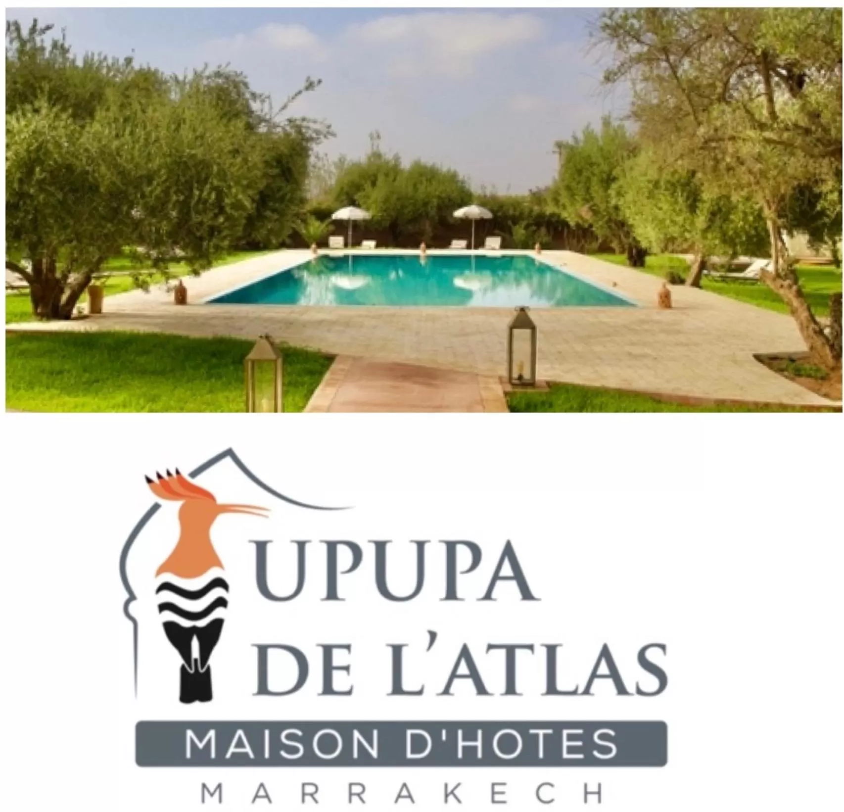 Swimming Pool in Upupa de l’Atlas