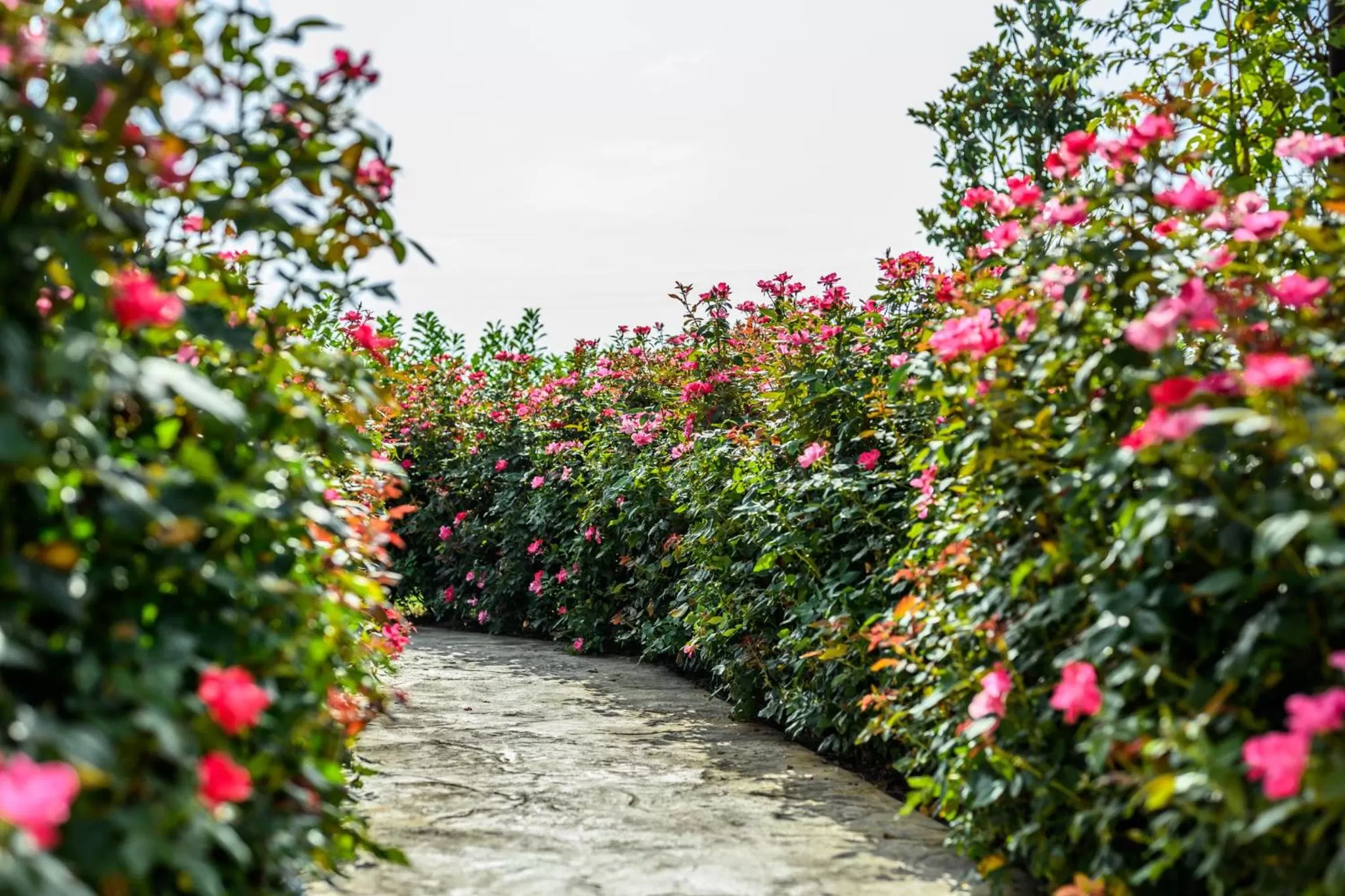 Garden in La Casa di Valeria - Modena