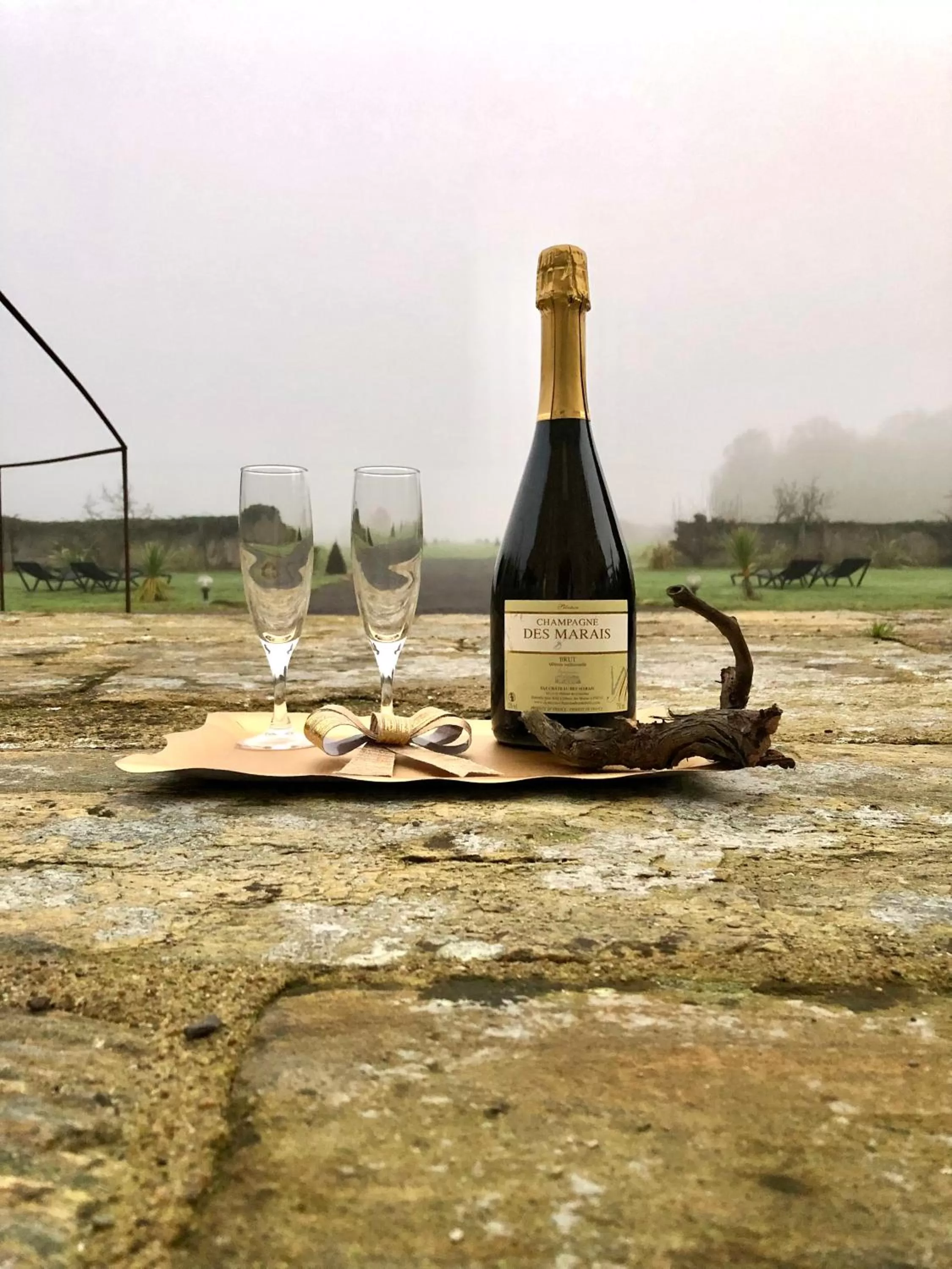 Garden view in Hôtel Particulier CHÂTEAU DES MARAIS Proximité et vue sur le Lac de Grand lieu