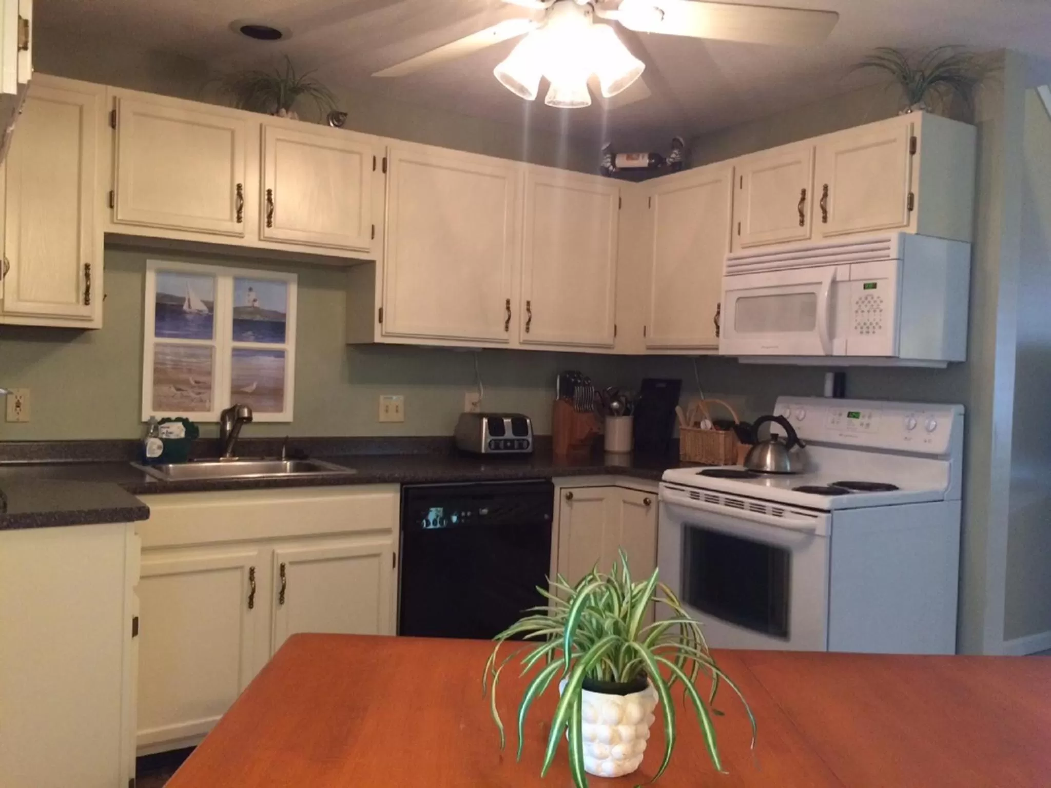 Kitchen or kitchenette in Elmwood Resort Hotel