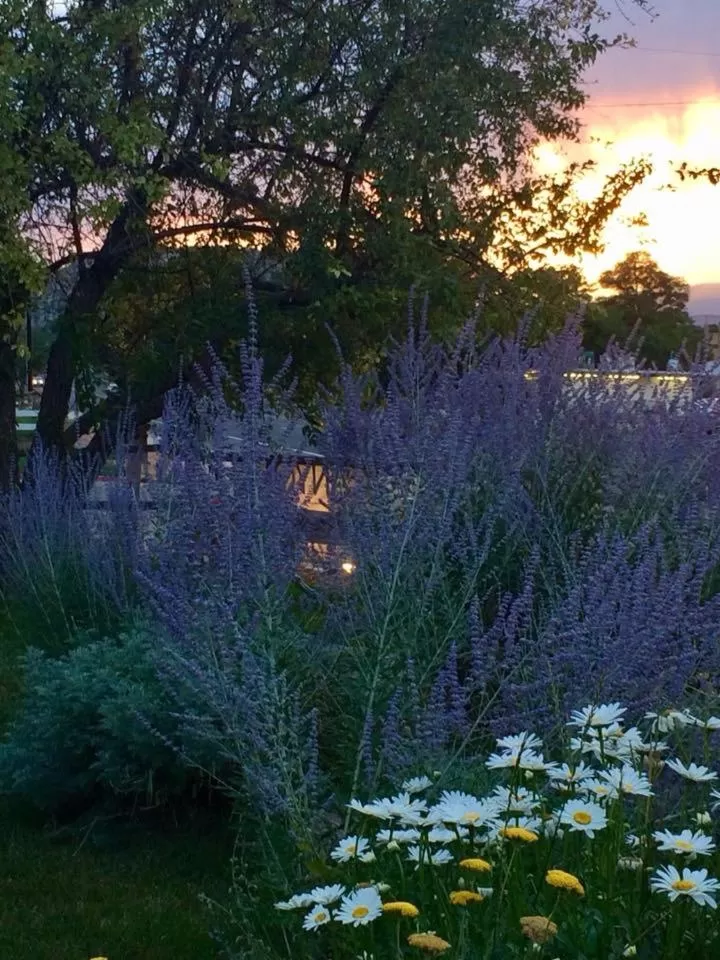 Garden view in The Loubird Inn