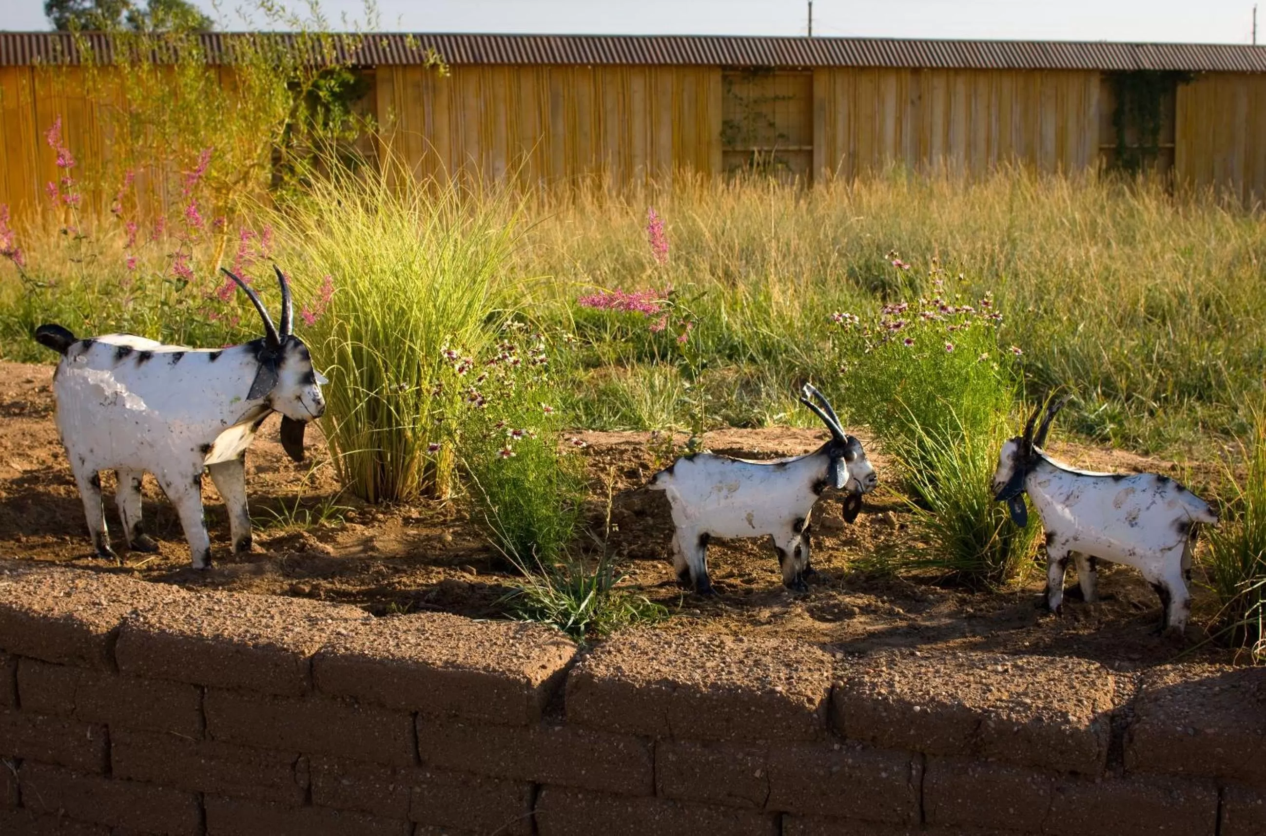 Sunset Motel Moriarty