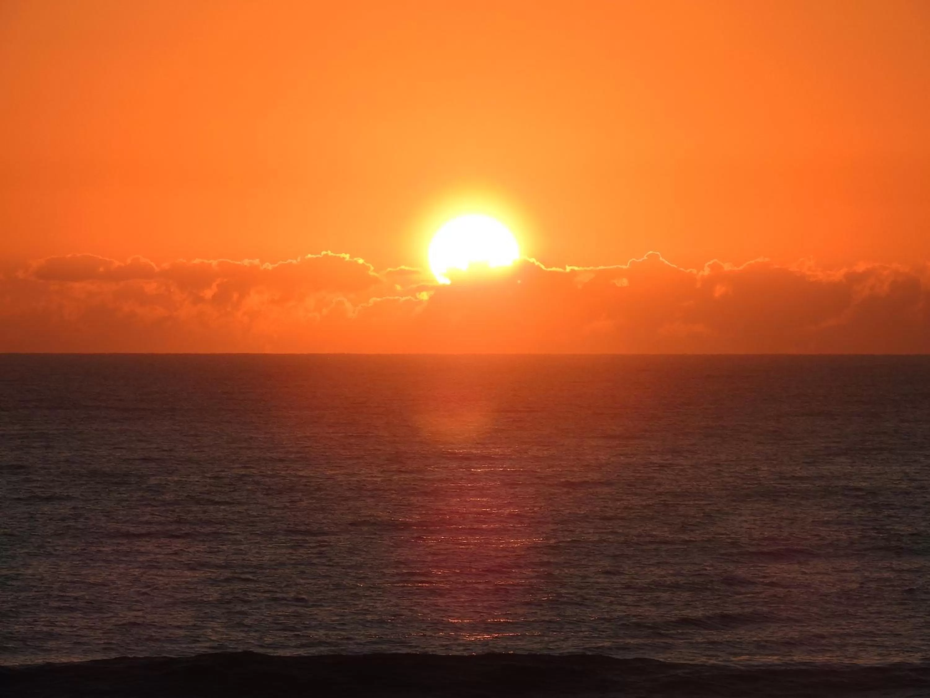 Day in Albatross North Apartments