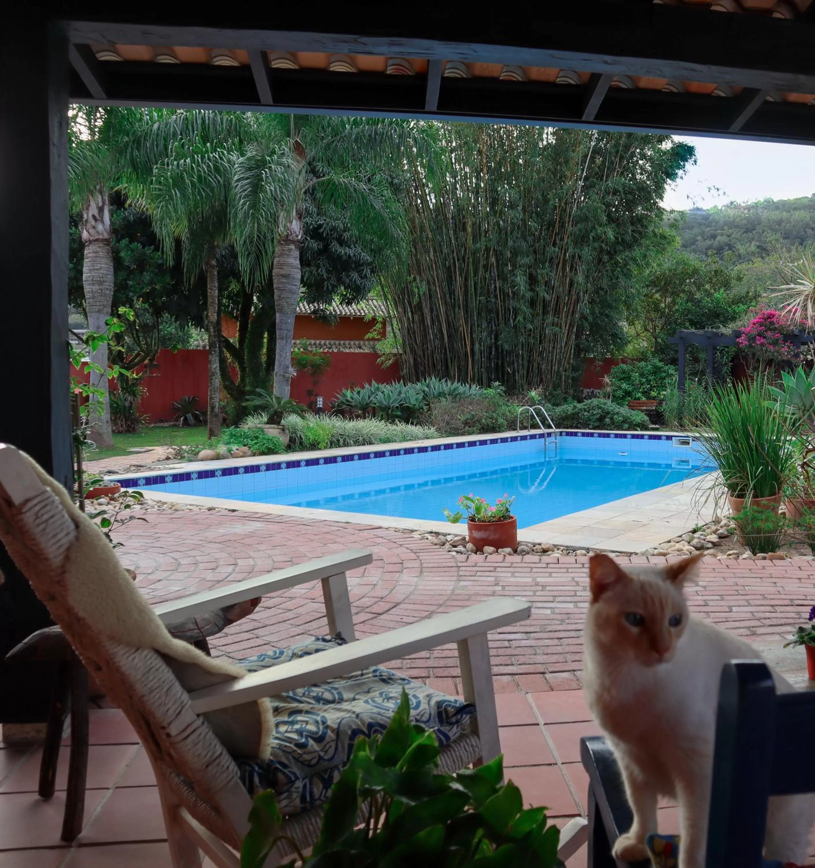 Swimming Pool in Janela de Marcia Bed and Breakfast