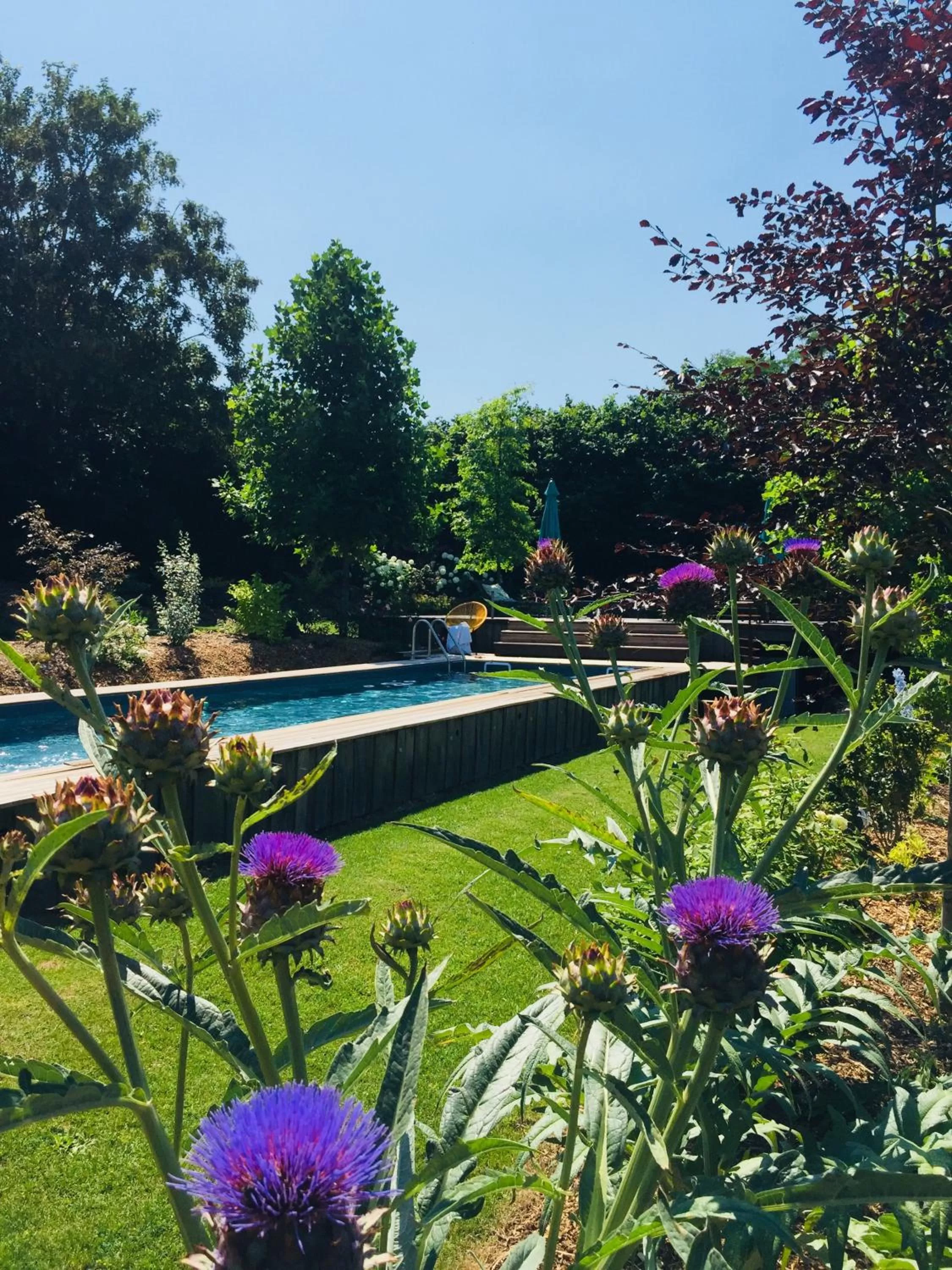 Garden in L'école des garçons