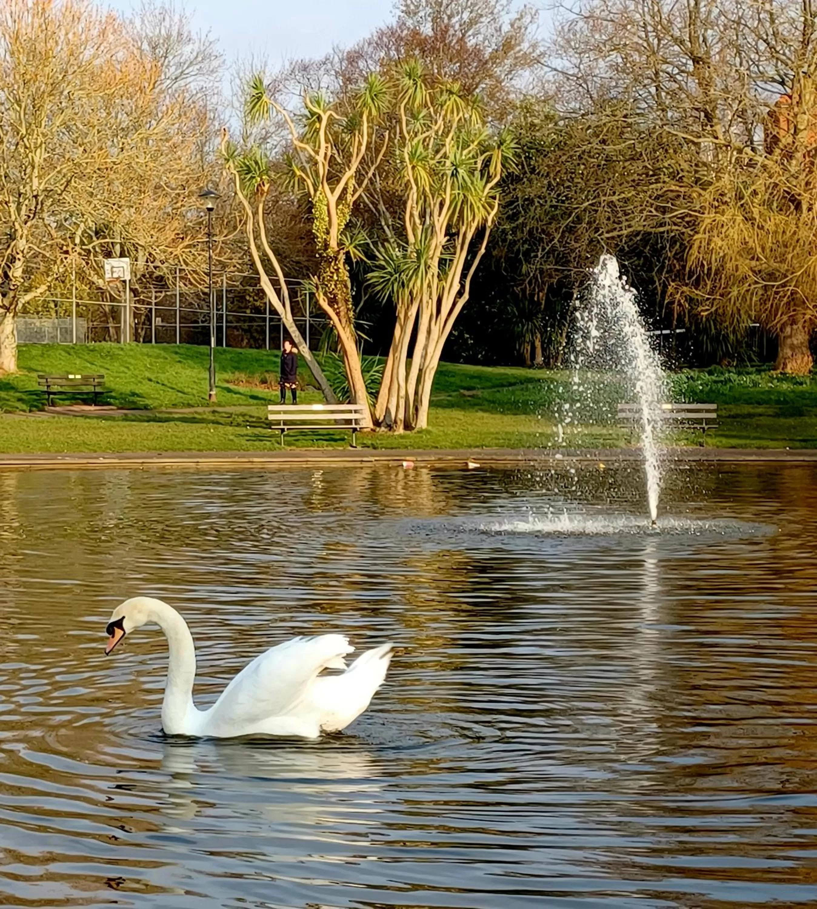 Belle Dene Guest House
