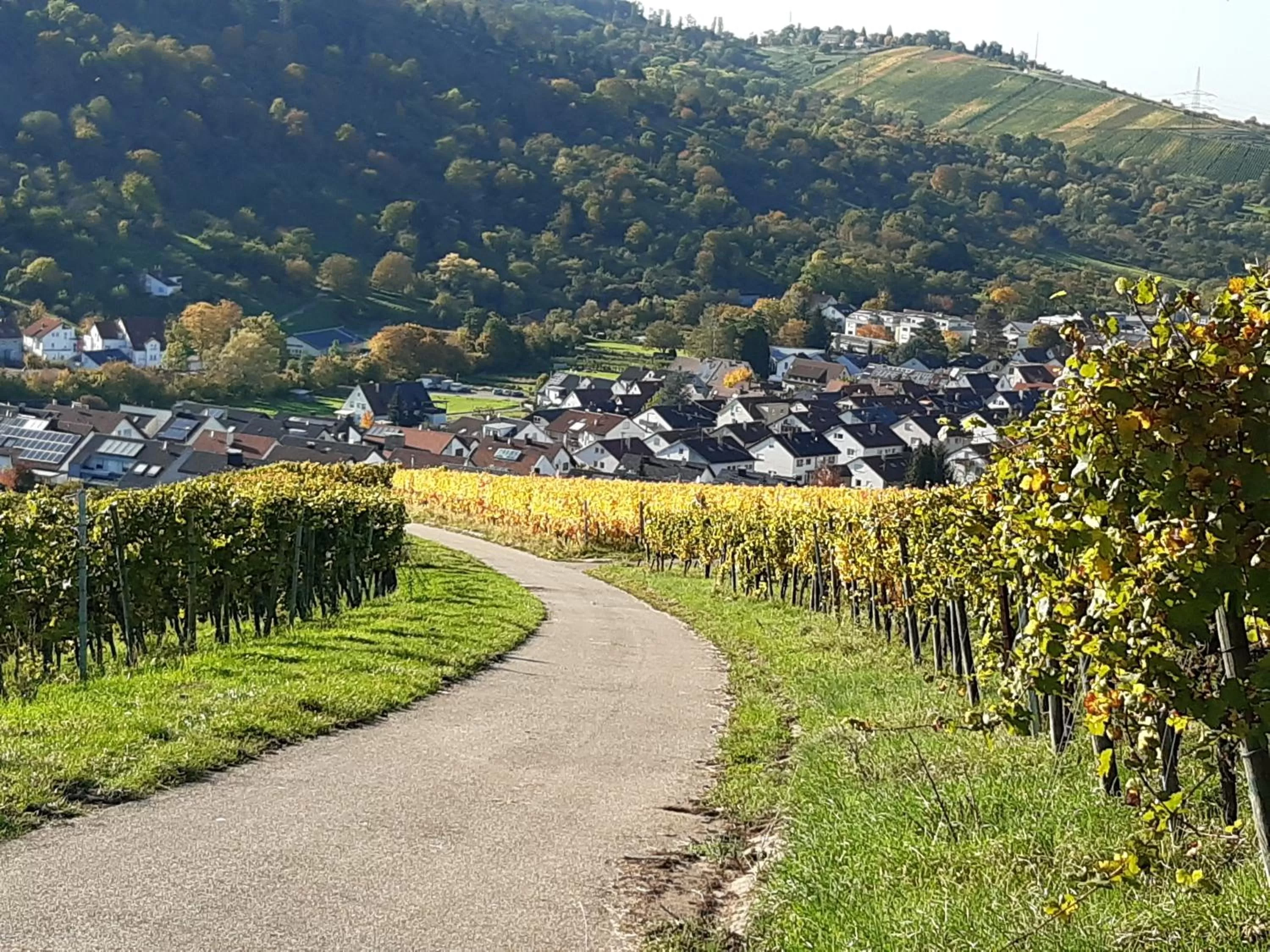 Natural landscape in Remstal Hotel