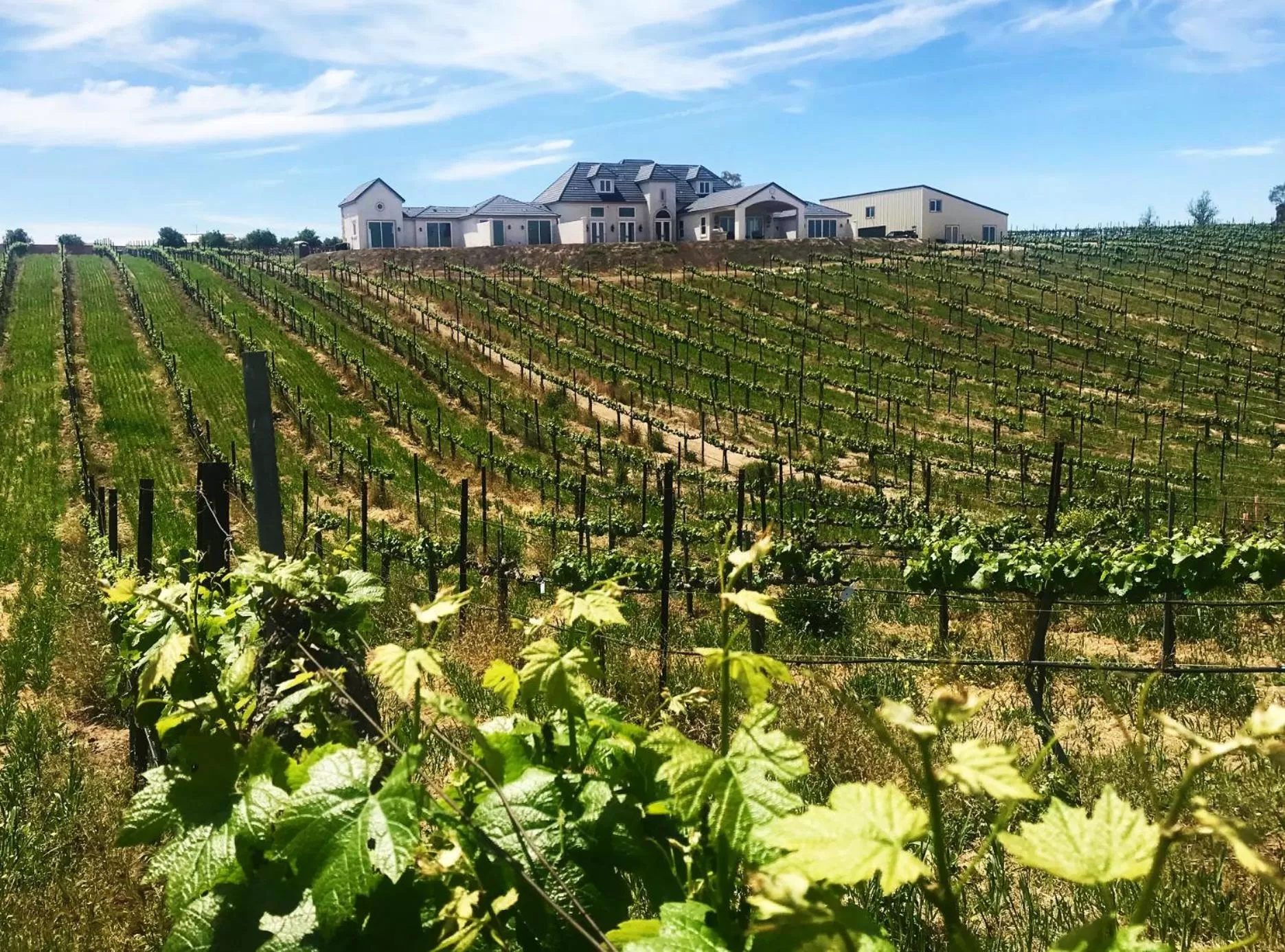 Property building in Domaine Chardonnay