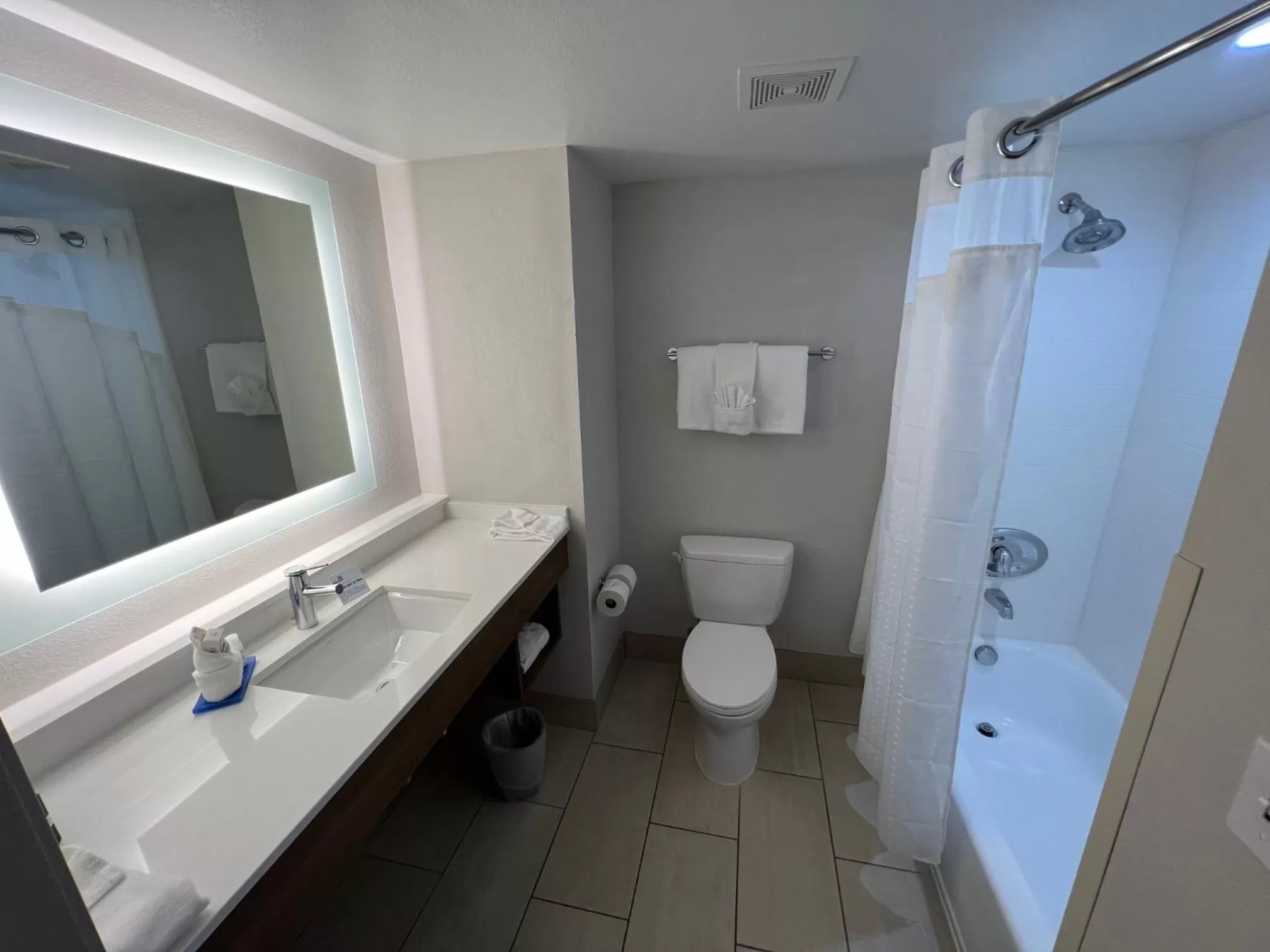 Bathroom in Holiday Inn Express Hotel & Suites Lake Elsinore by IHG