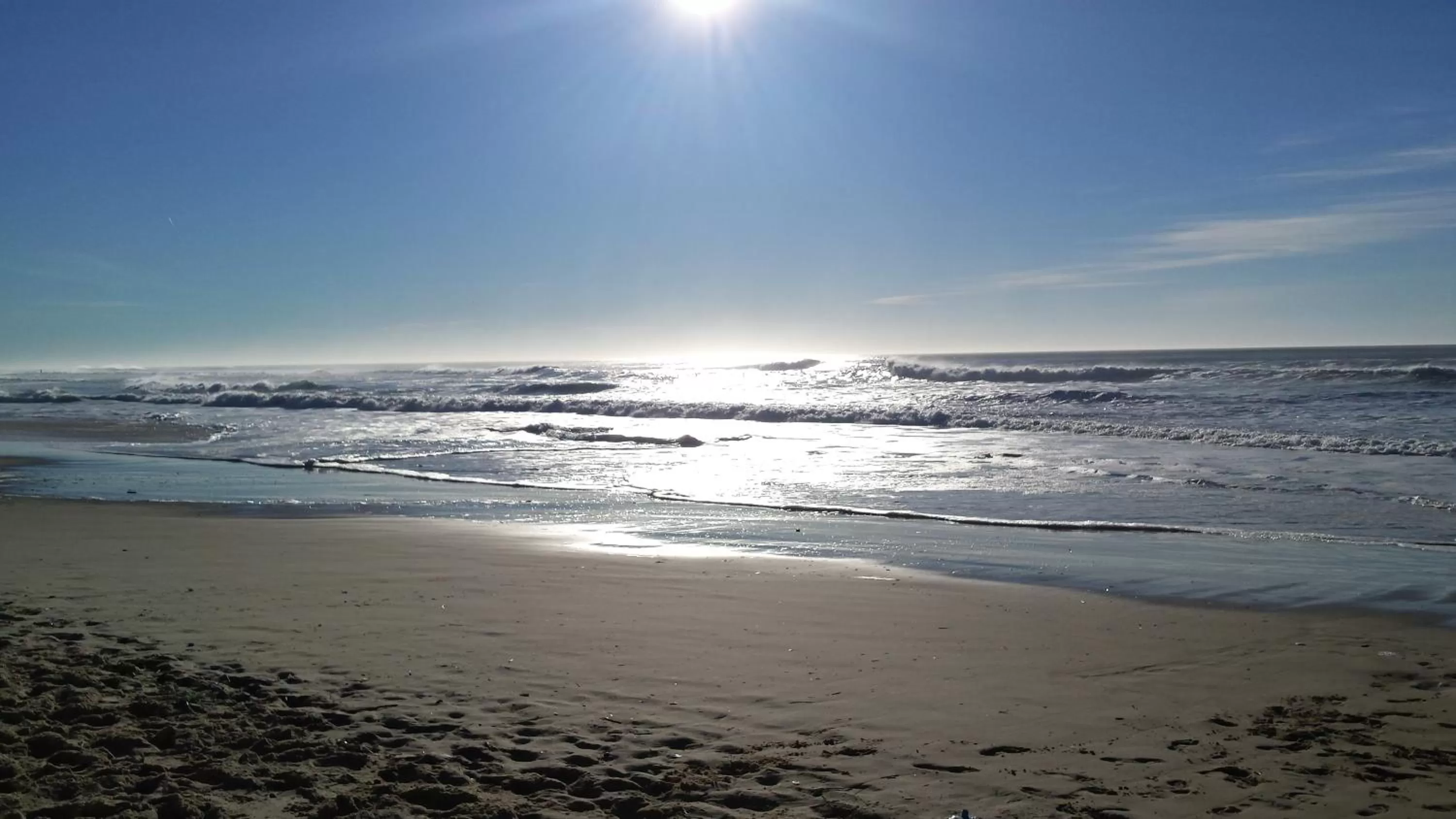 Garden in Les Jardins de L'Ocean - Climatisé