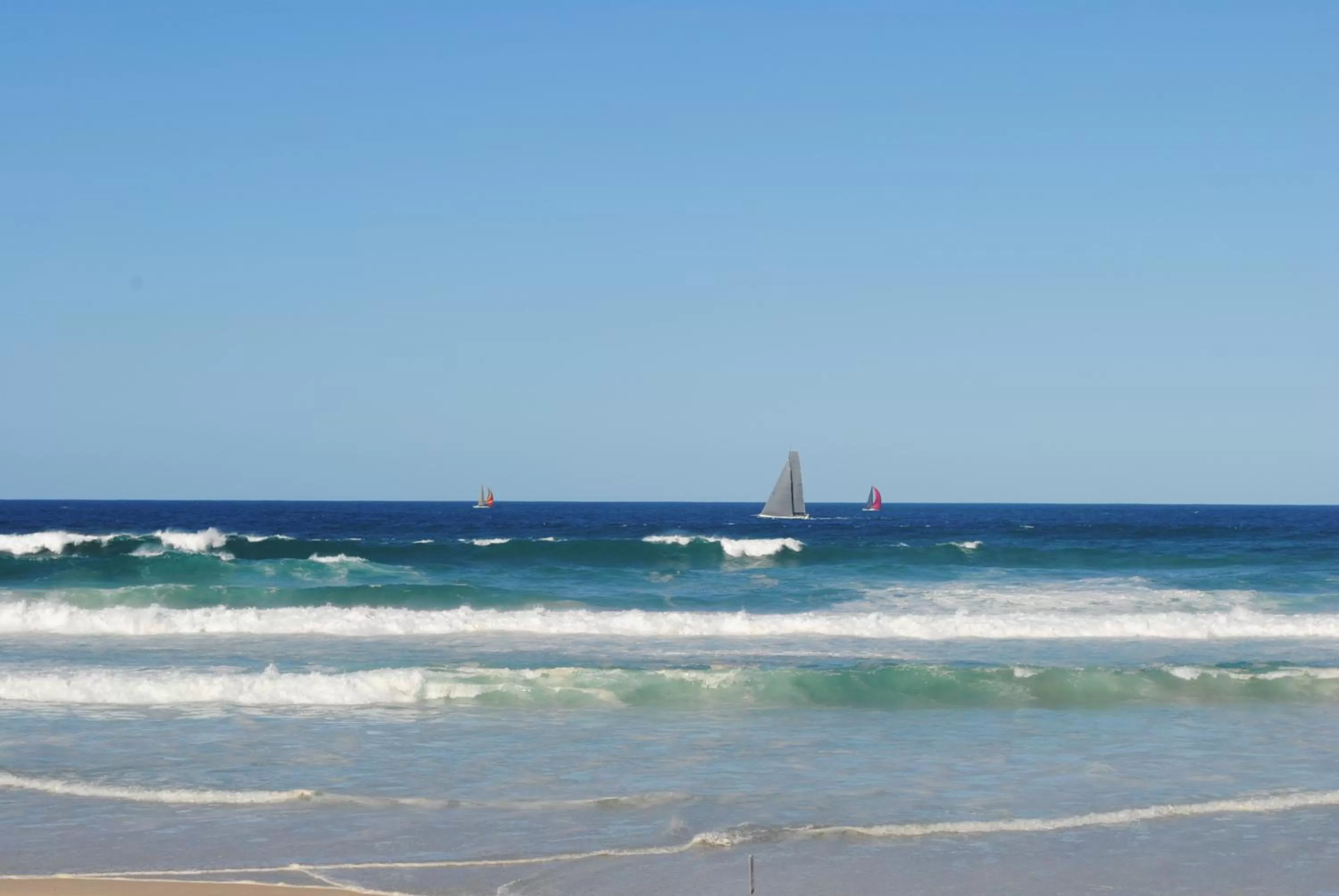 Day in Albatross North Apartments