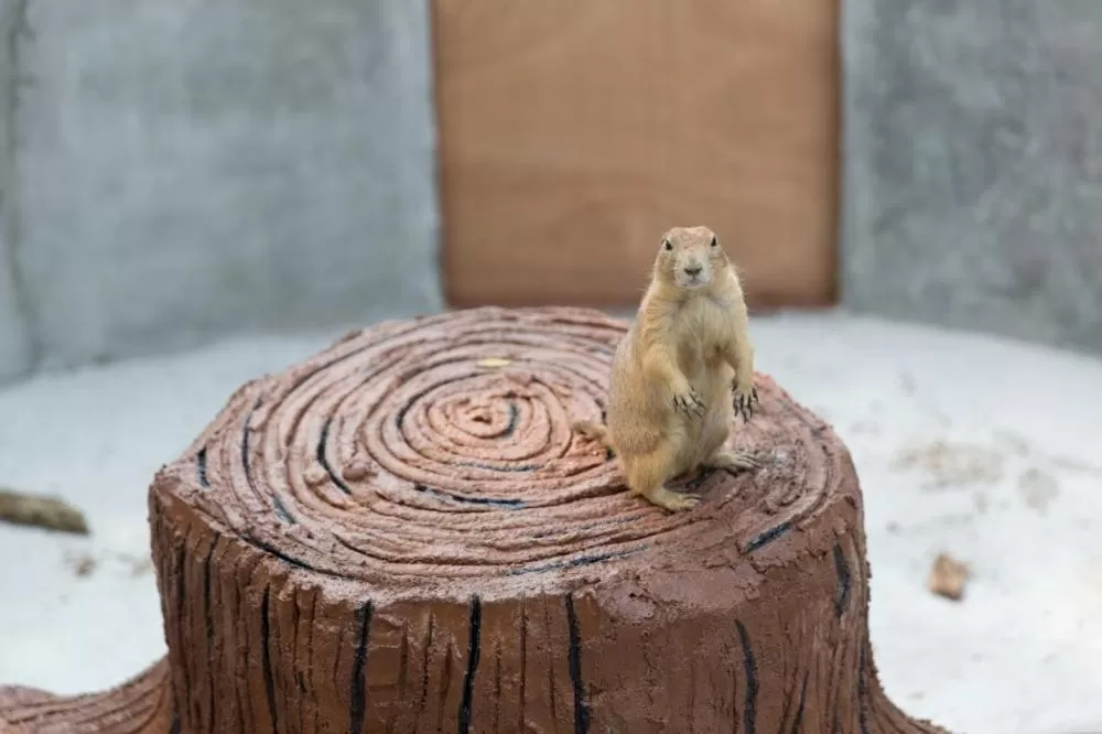 Amverton Cove Golf & Island Resort