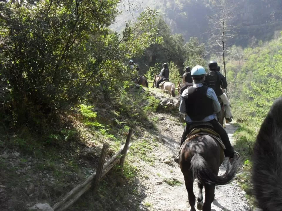 Horse-riding in B&B Oliva