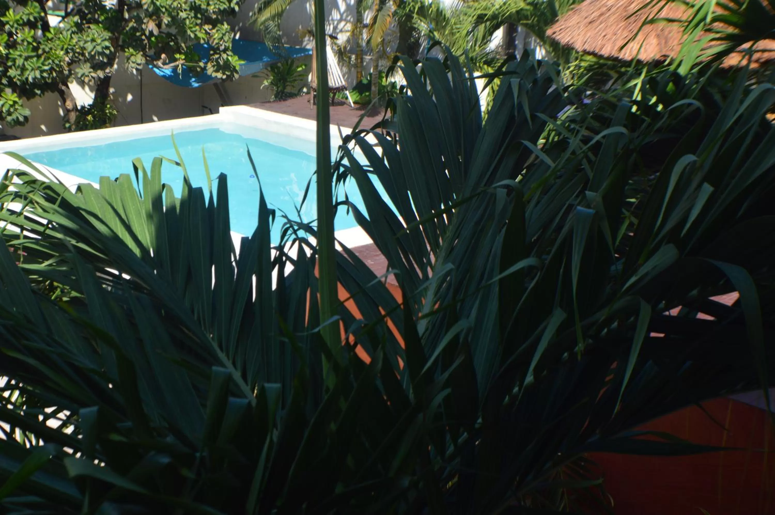 Garden in Kukulcan by Emotion