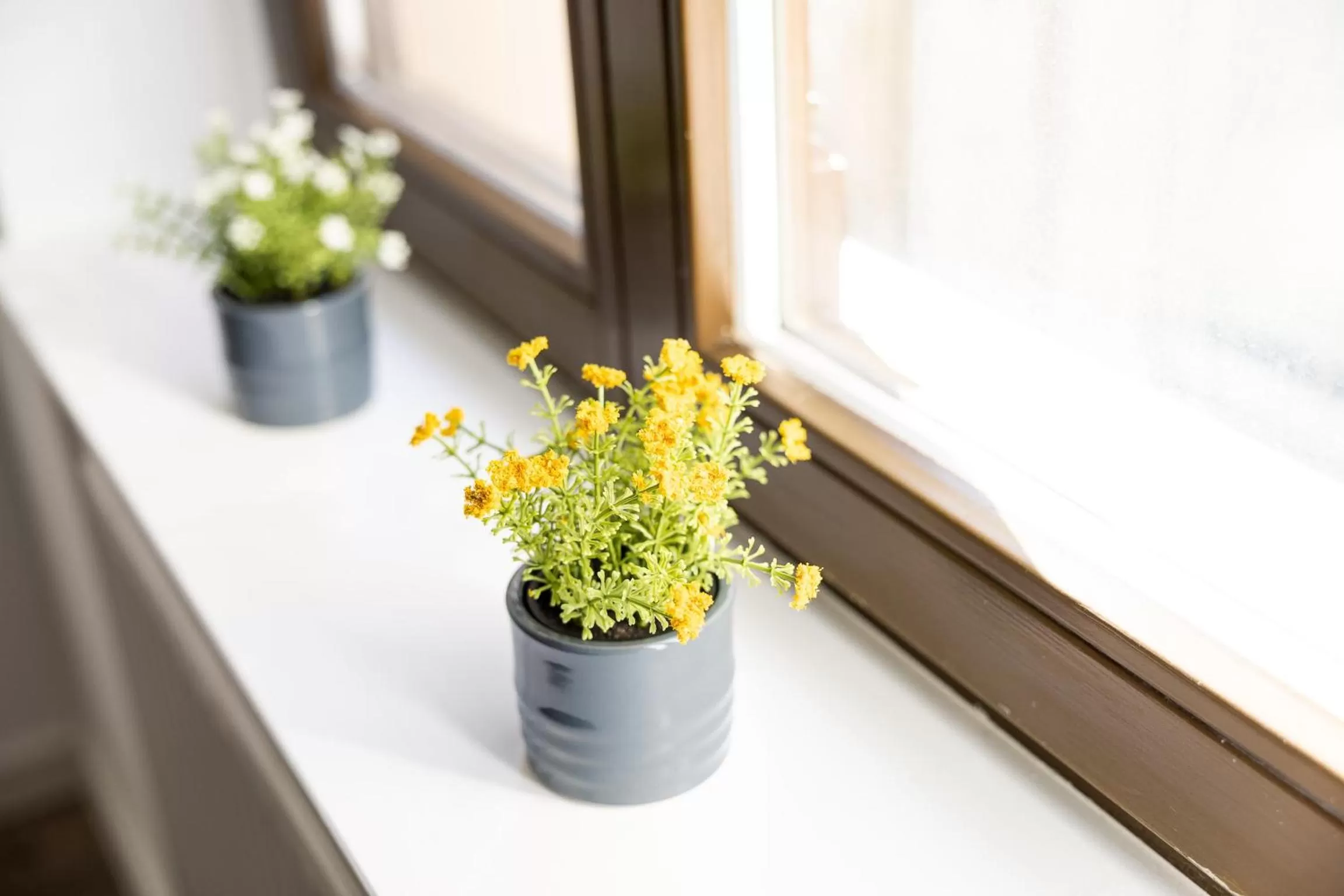 Decorative detail in Apartments am Neuen Theater - Altstadt - Zentral - Küche - Wifi - Powered by Ko-Living