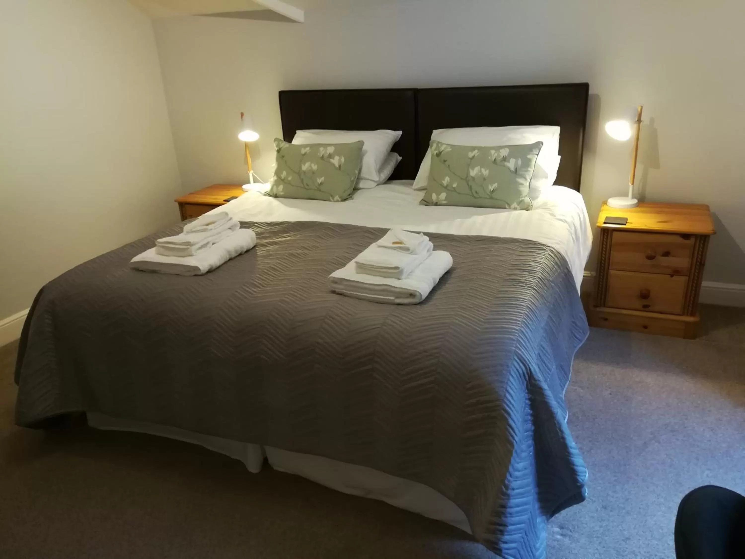 Superior Double or Twin Room - Room 7 in Aberconwy House B&B