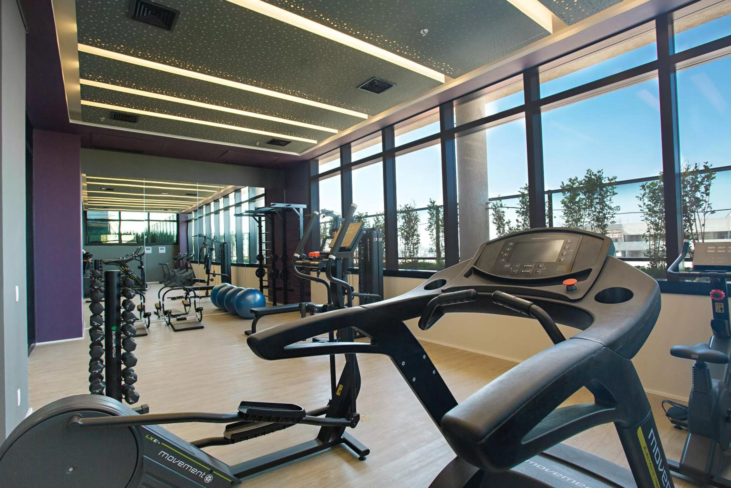 Fitness centre/facilities in Royal Palm Tower Anhanguera