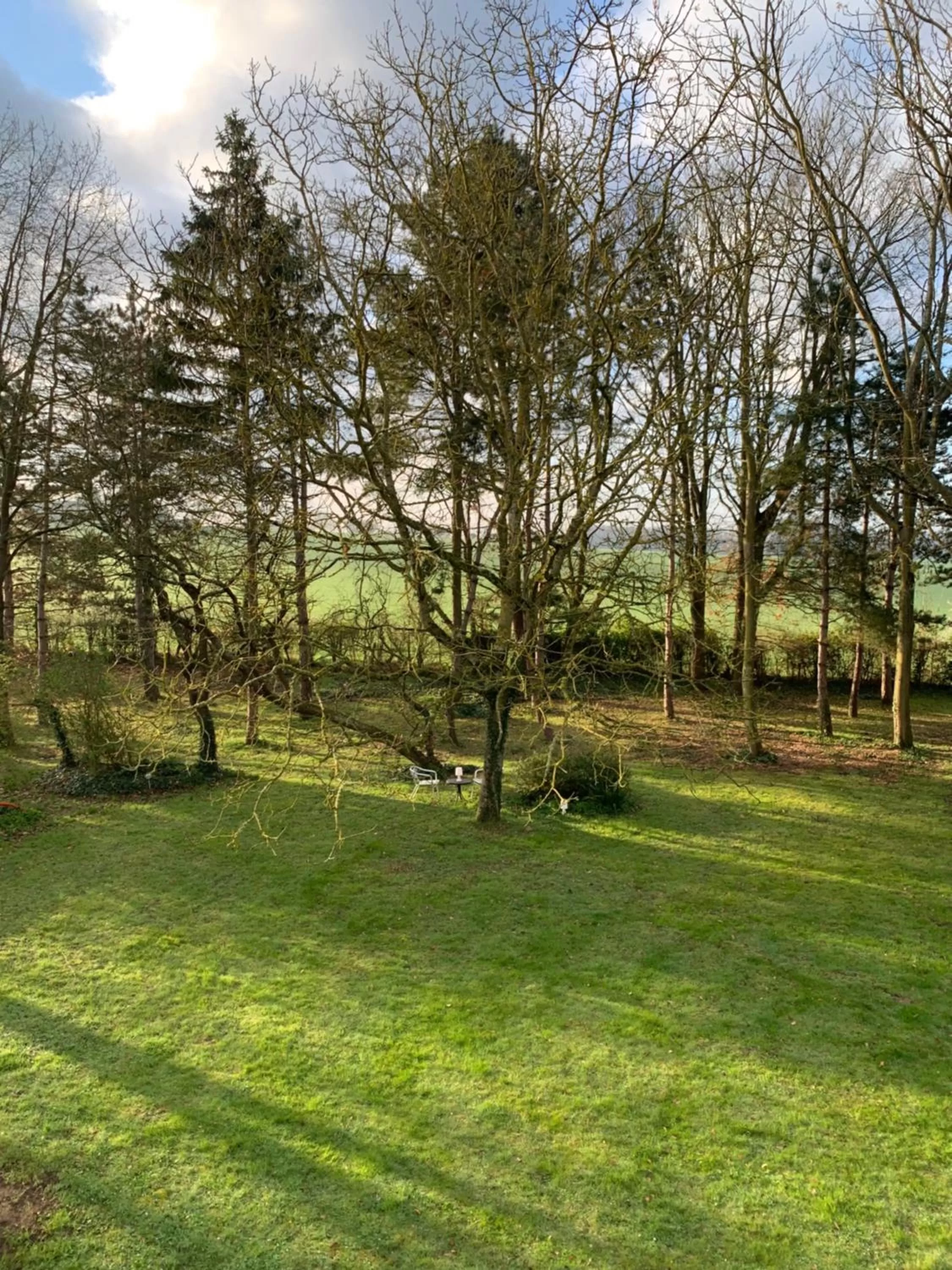 Garden in malitourne