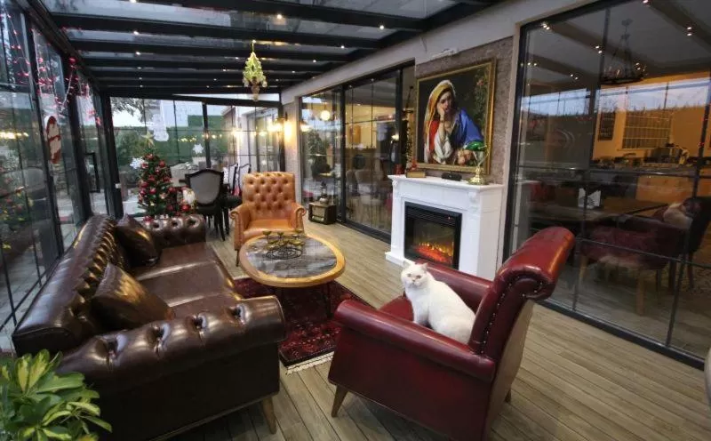 Seating area, Lounge/Bar in Lagun Palas