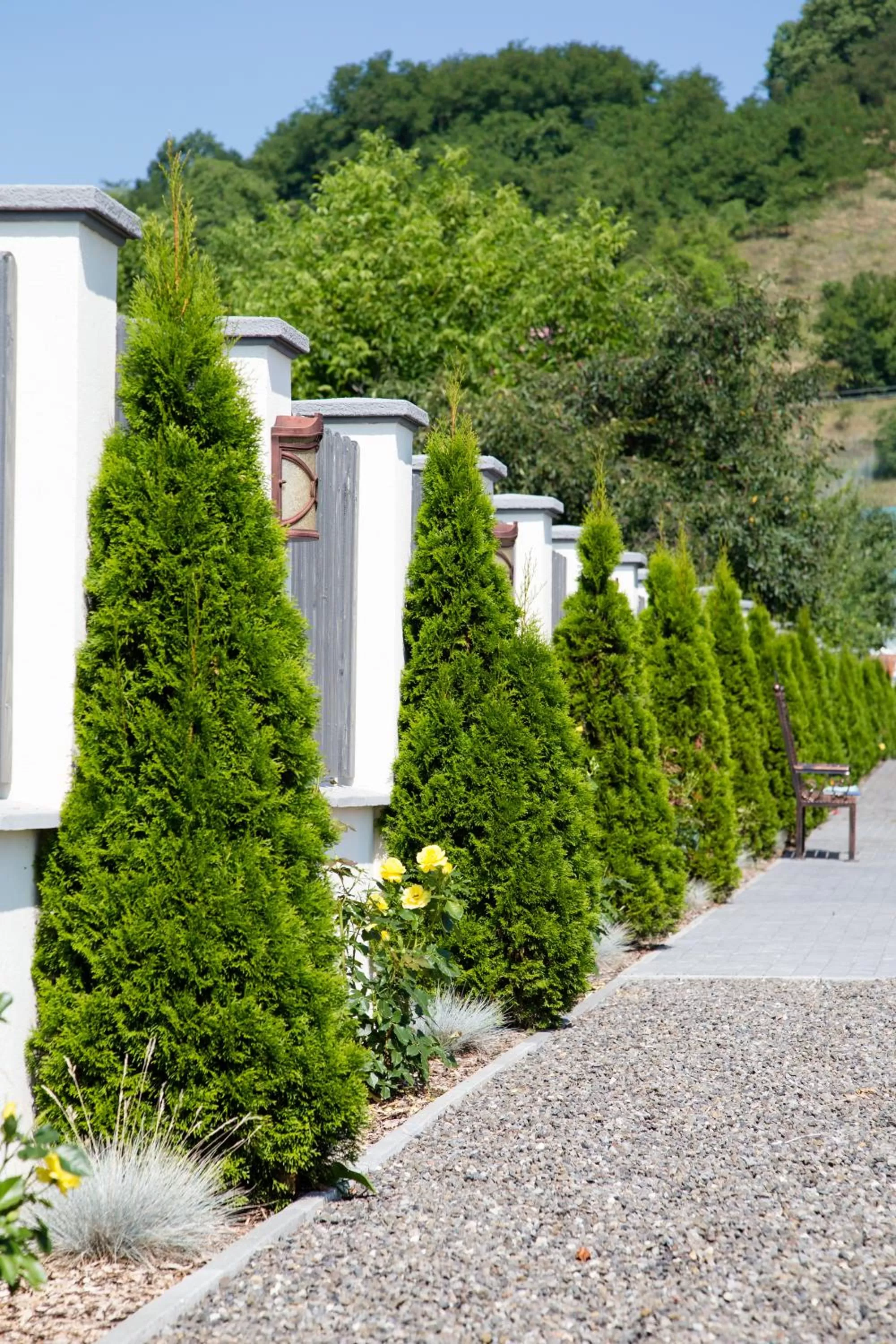 Mountain view, Property Building in Country Court